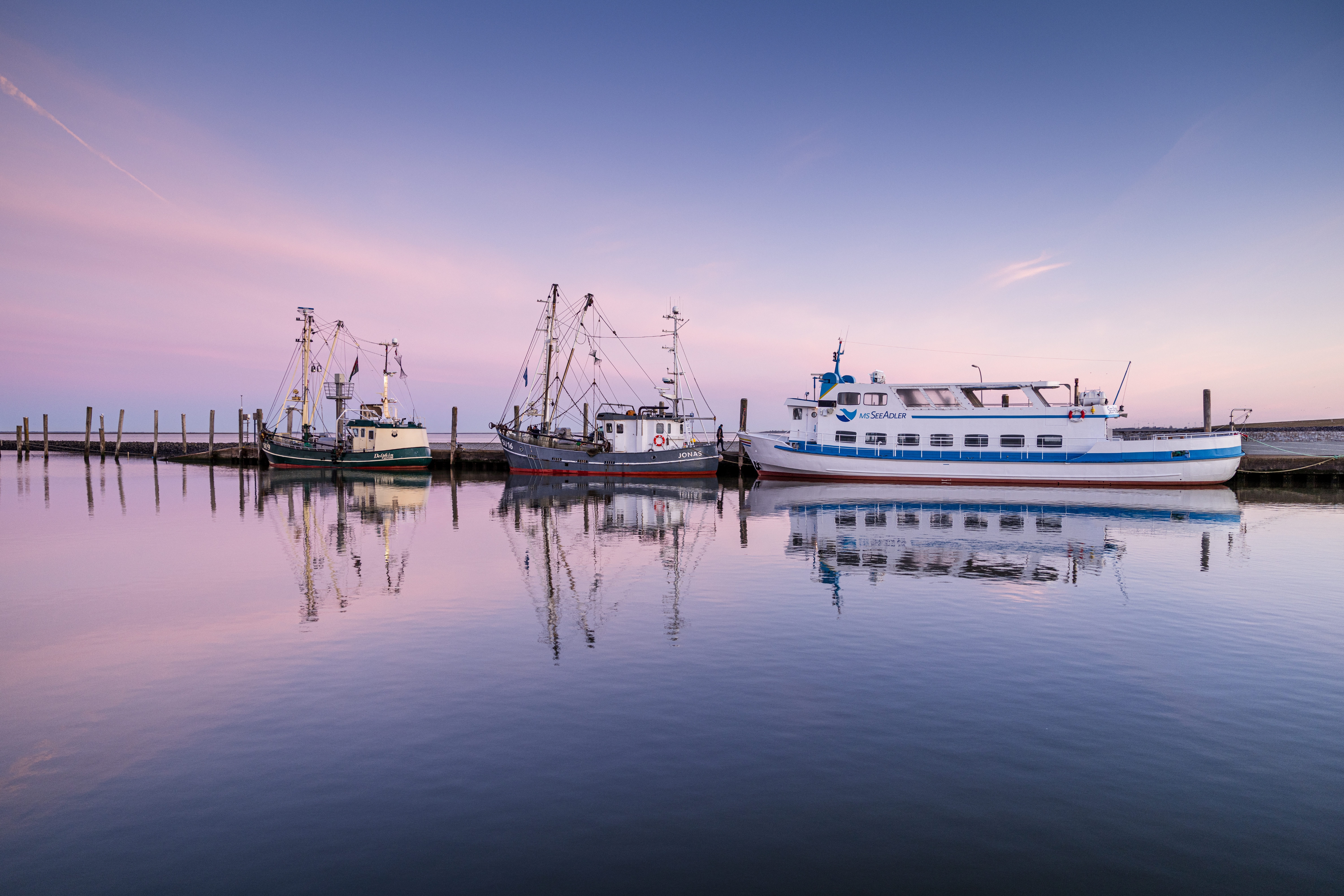 Morgenstimmung am Hafen Schlüttsiel