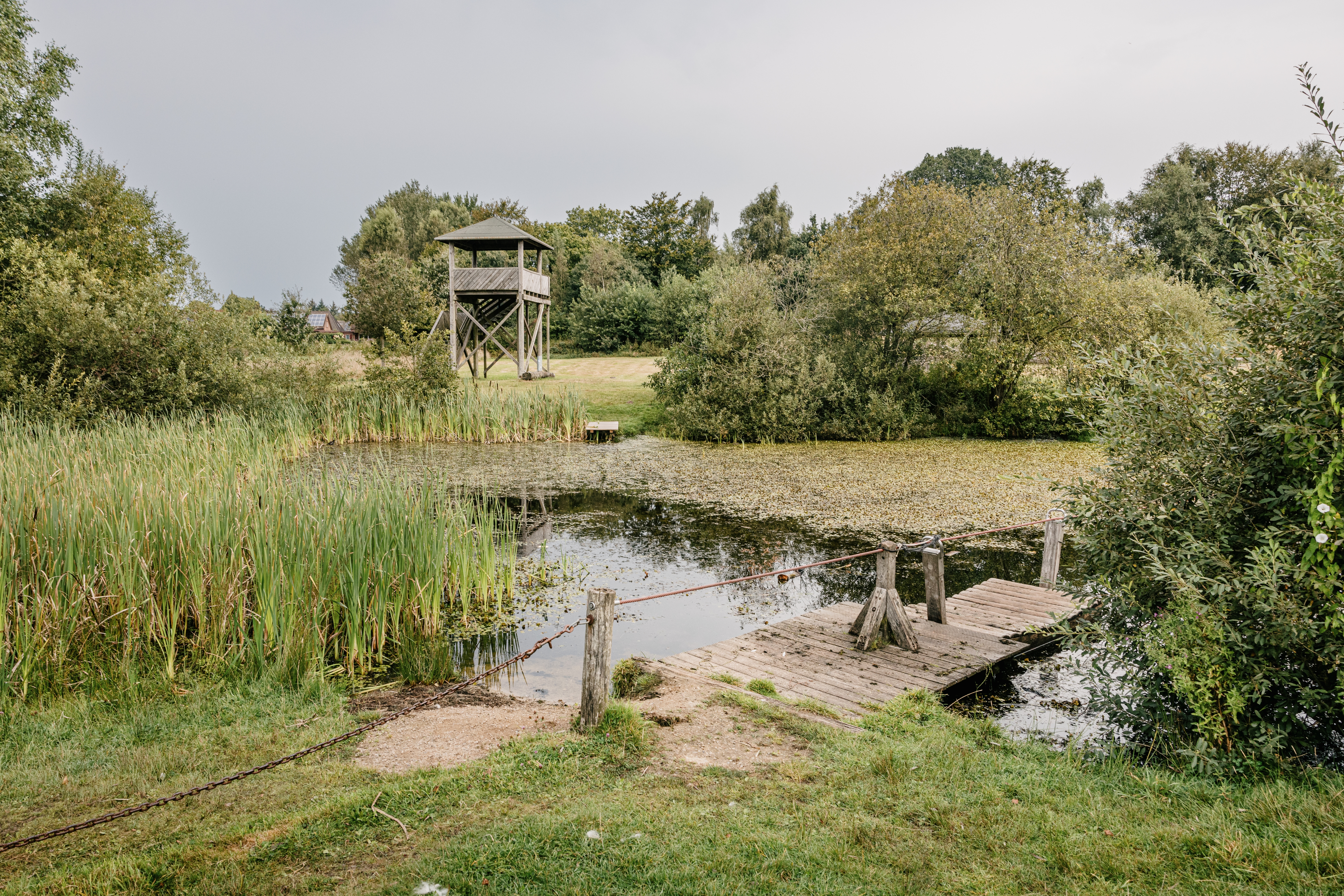 Naturerlebnisraum Mühlenau / Mildstedter Tannen