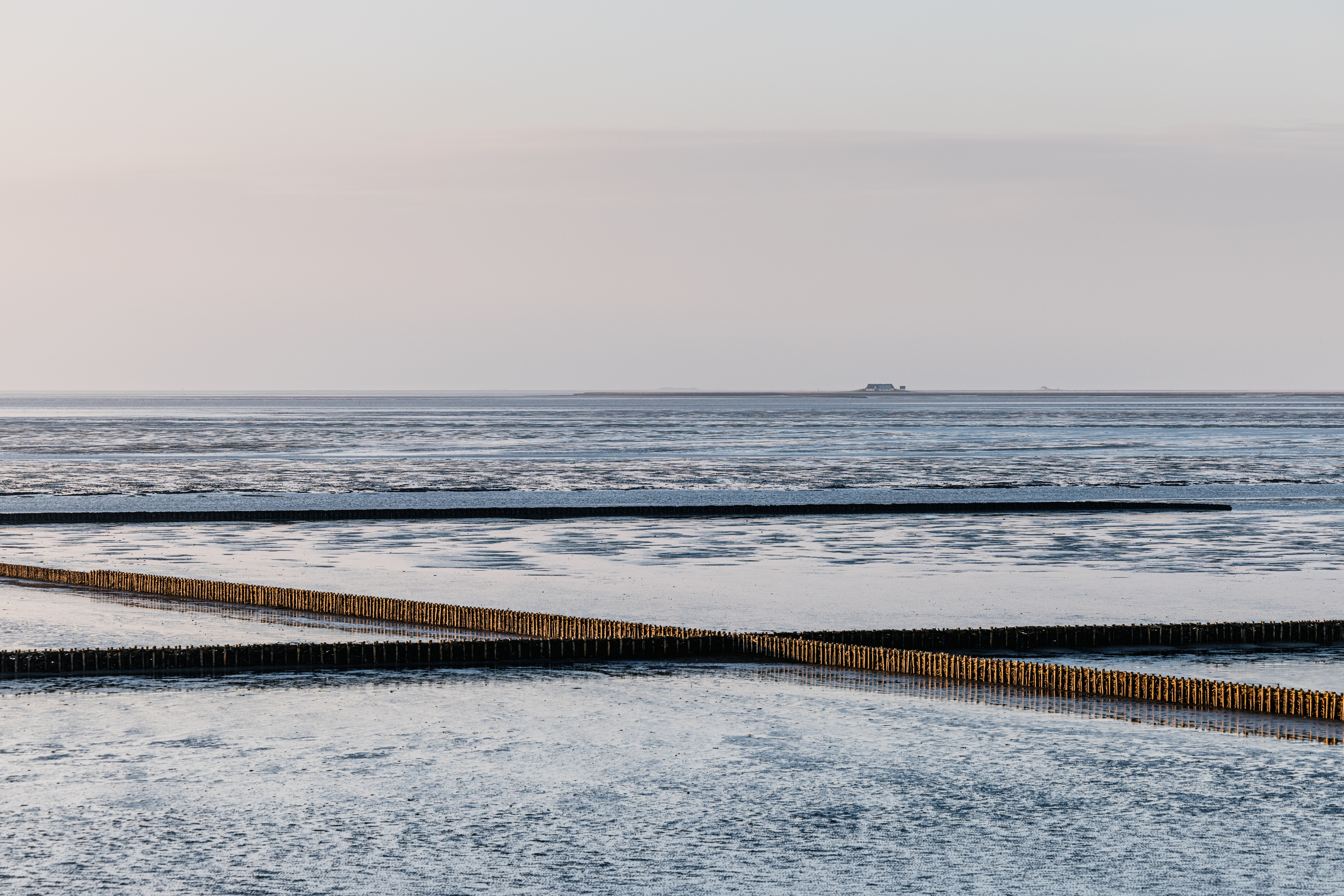 Weite Sicht und klare Luft: Blick auf die Hamburger Hallig