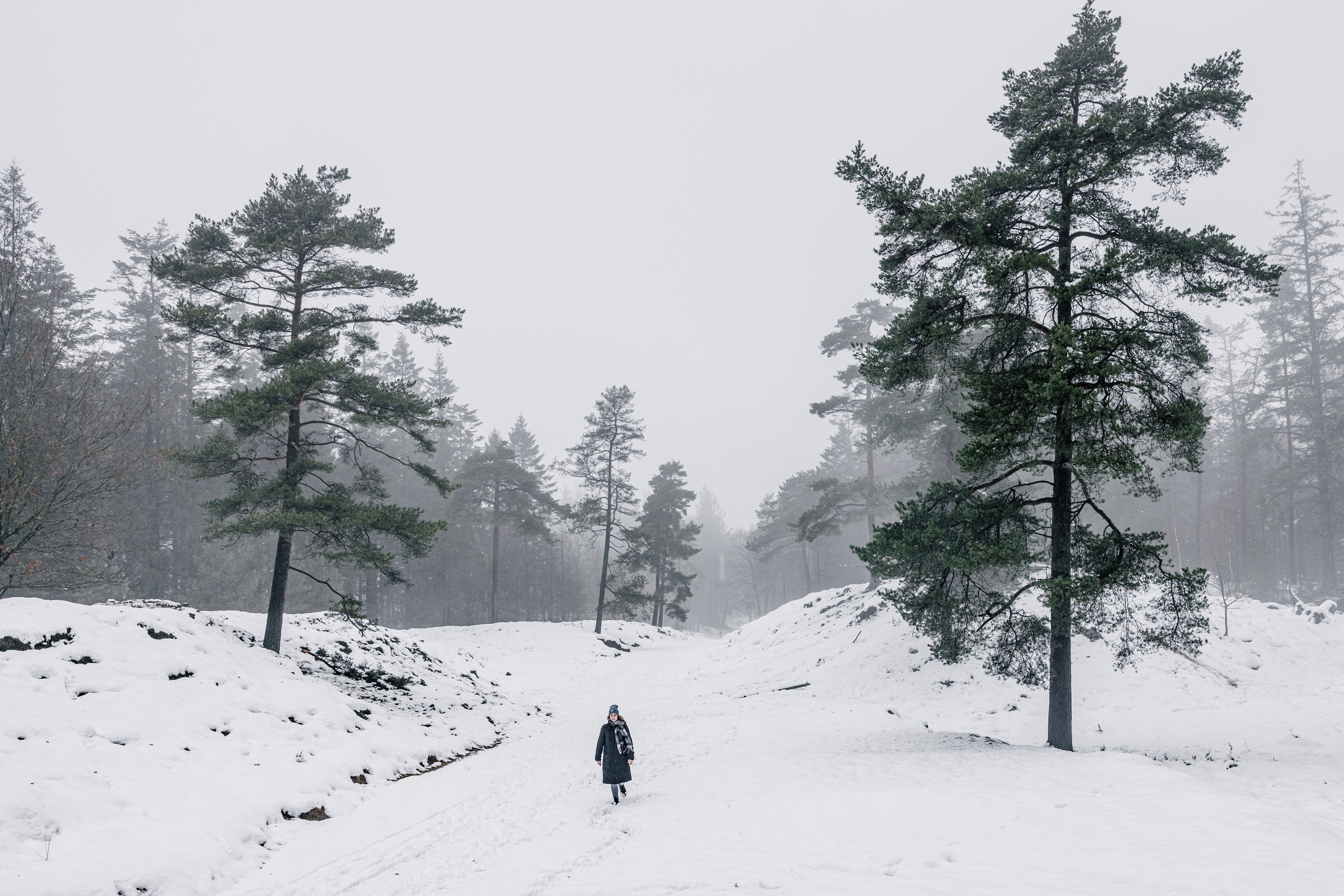 Nordseeküste Nordfriesland | Markus Rohrbacher, Verschneite Pfade durch den Langenberger Forst bei Leck Verschneite Pfade durch den Langenberger Forst bei Leck