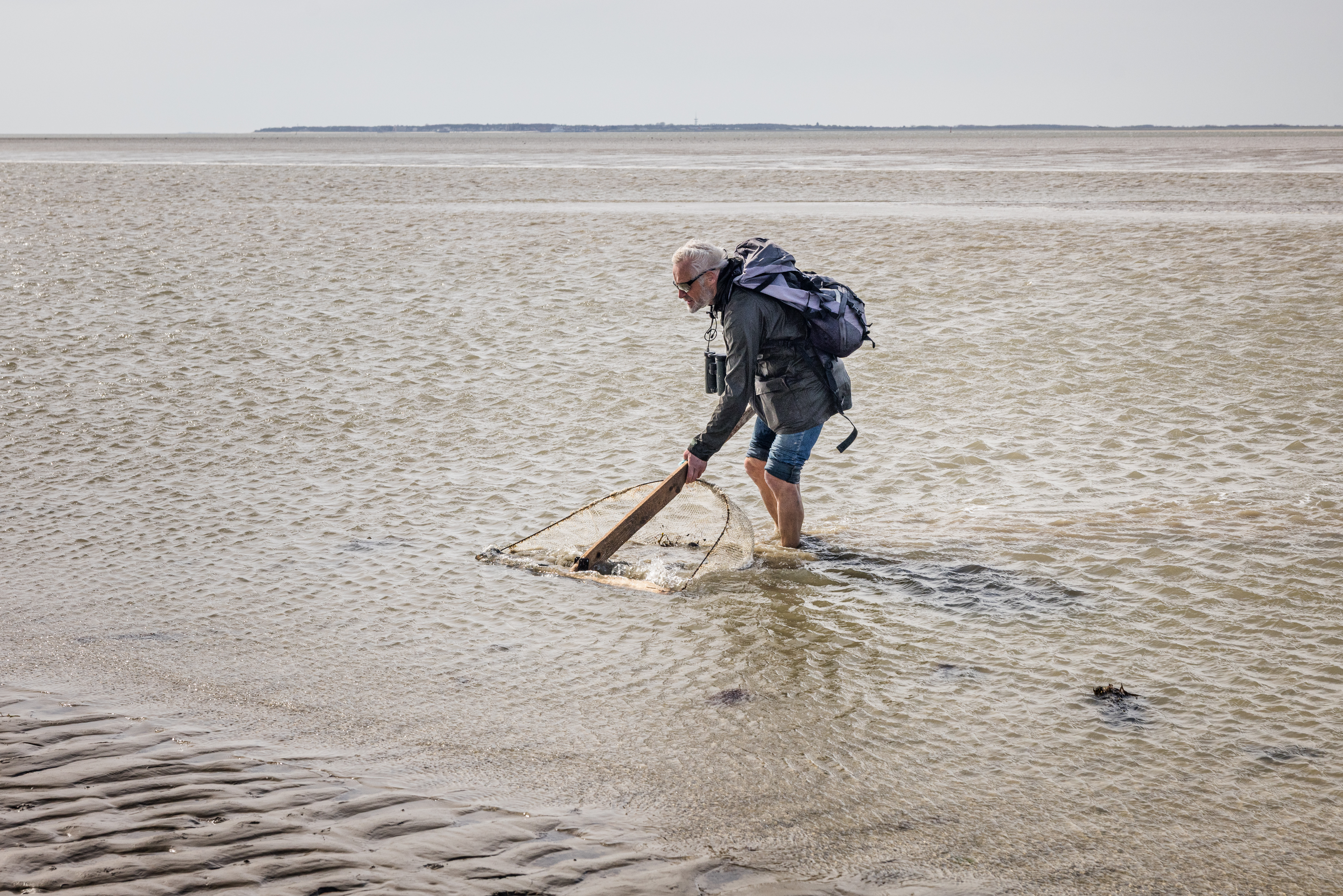 Seit dem 17. Jahrhundert werden Nordseegarnelen gefischt. Mit der Gliep, einem einfachen Schiebehamen, fingen die Menschen sie einst im flachen Watt für den eigenen Verzehr.