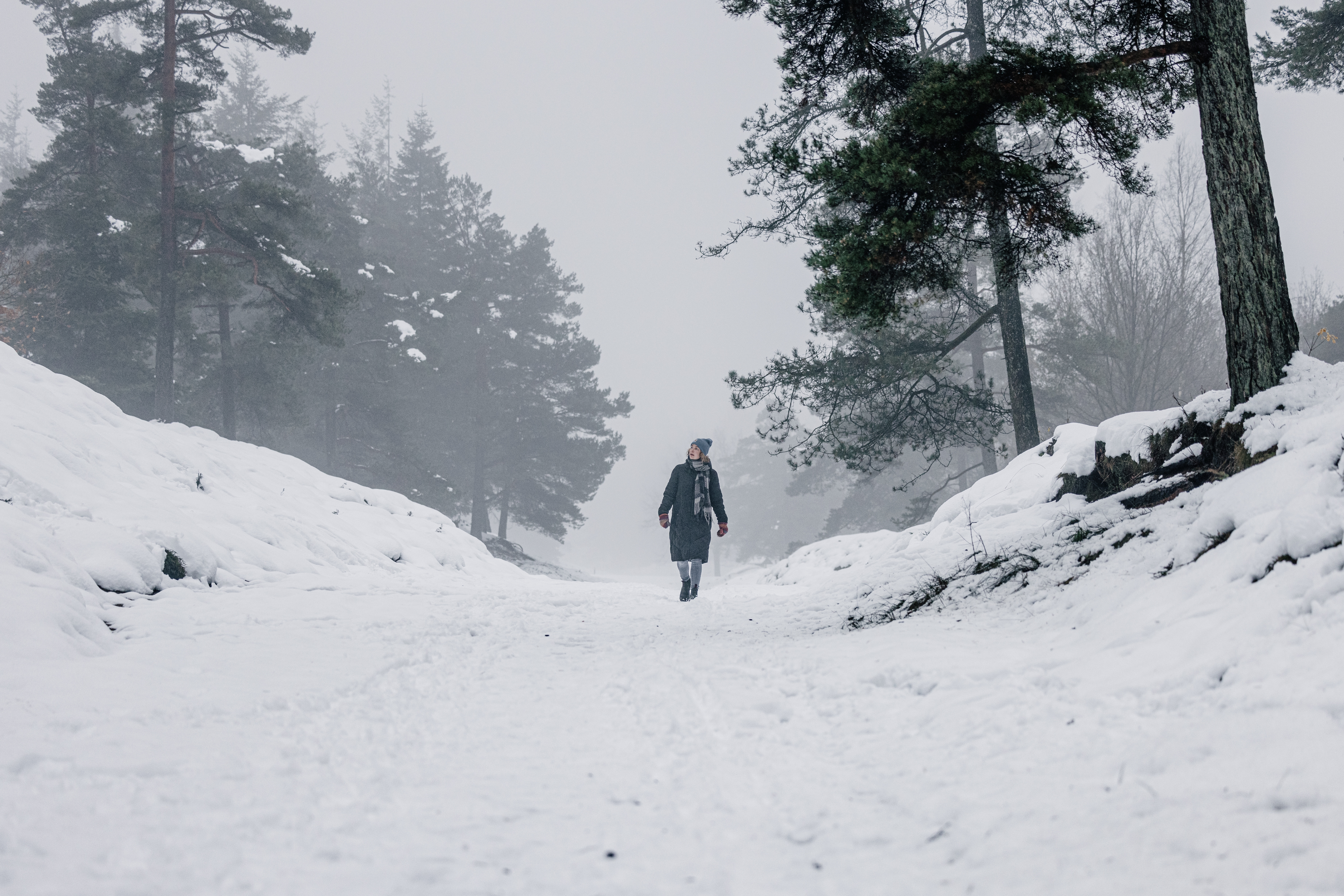 Winterspaziergang im Langenberger Forst bei Leck