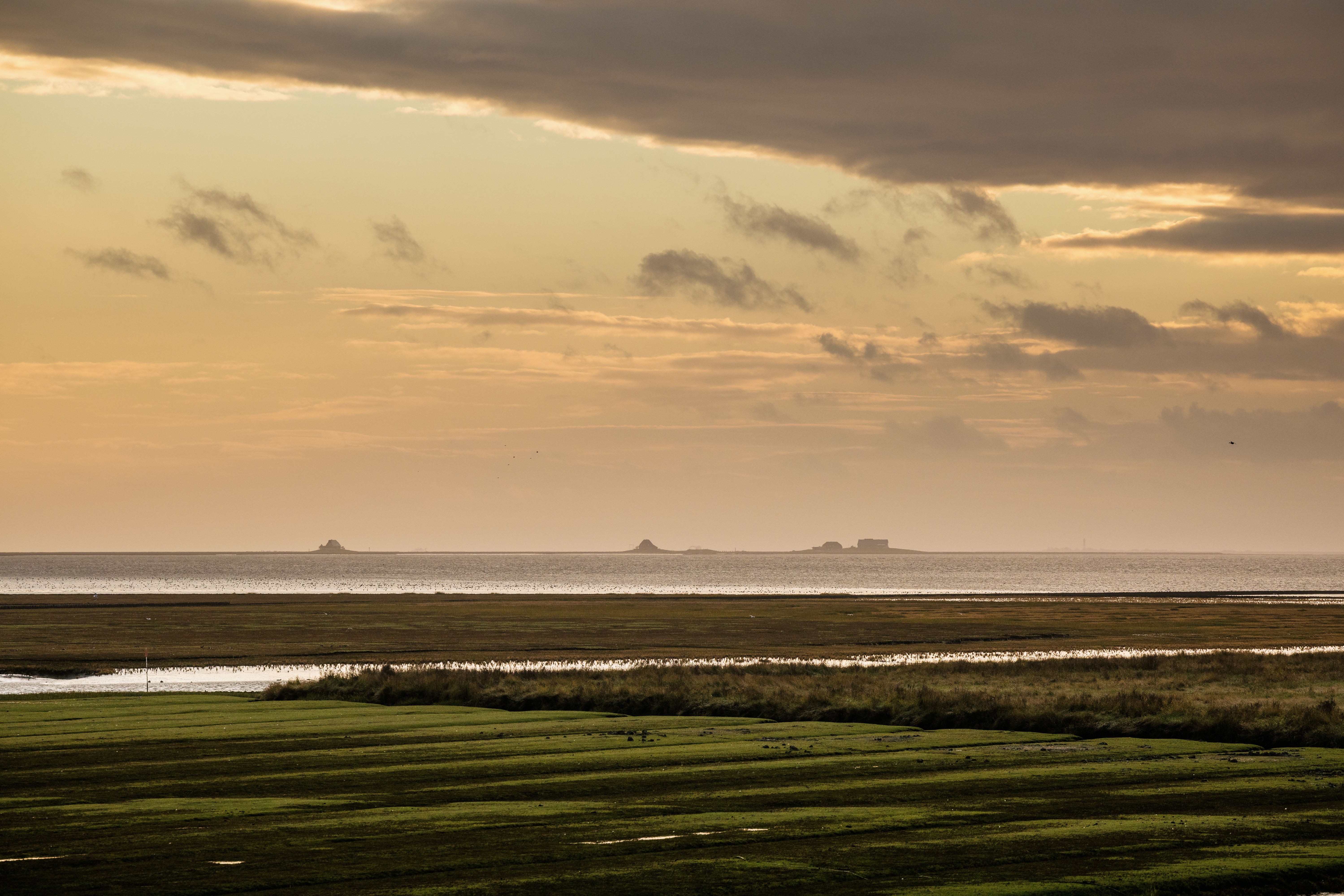 Nordseeküste Nordfriesland | Markus Rohrbacher, Reußenköge mit Blick auf die Halligwelt Reußenköge mit Blick auf die Halligwelt