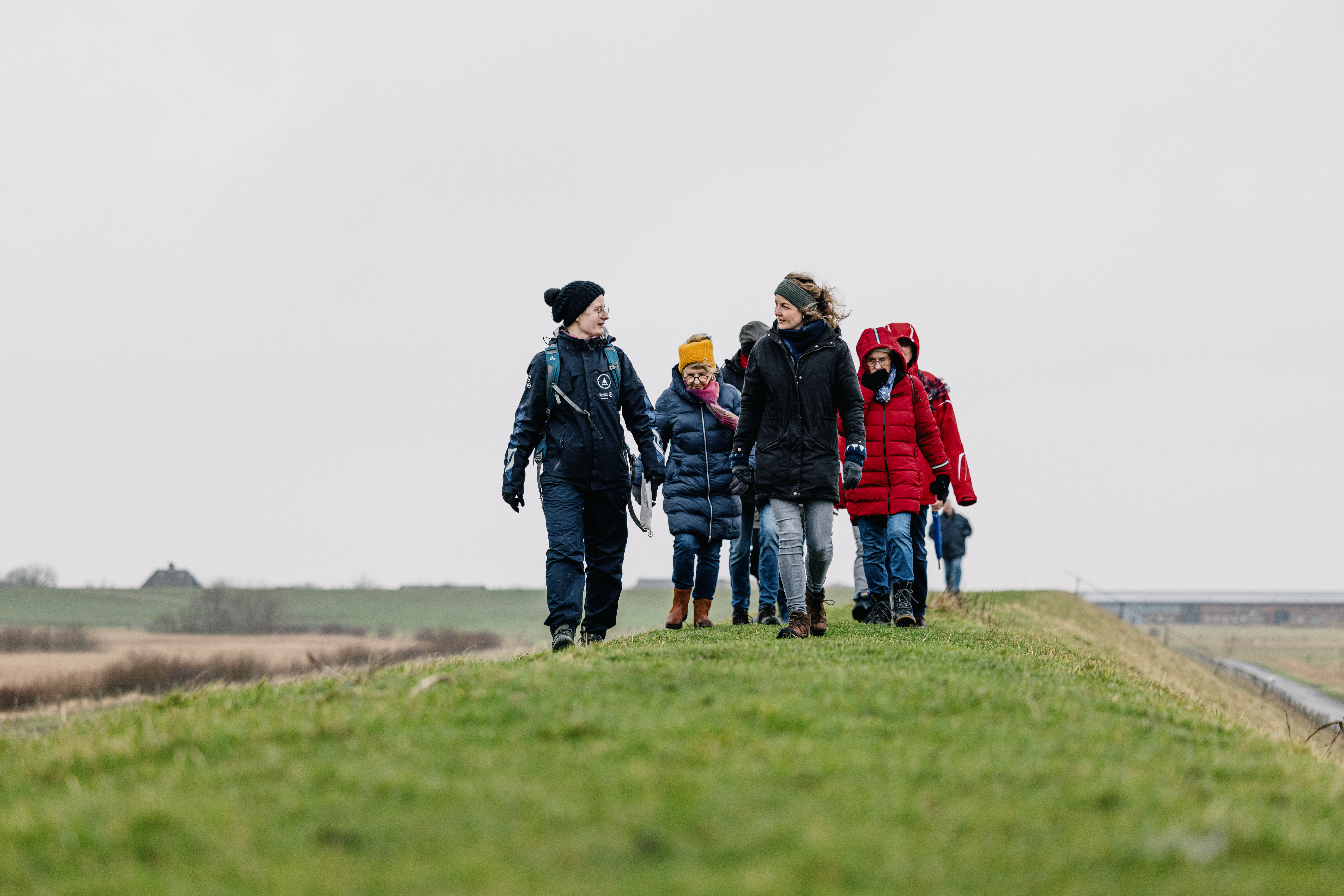 Klare Luft und weite Sicht bei einer geführten Tour am Deich
