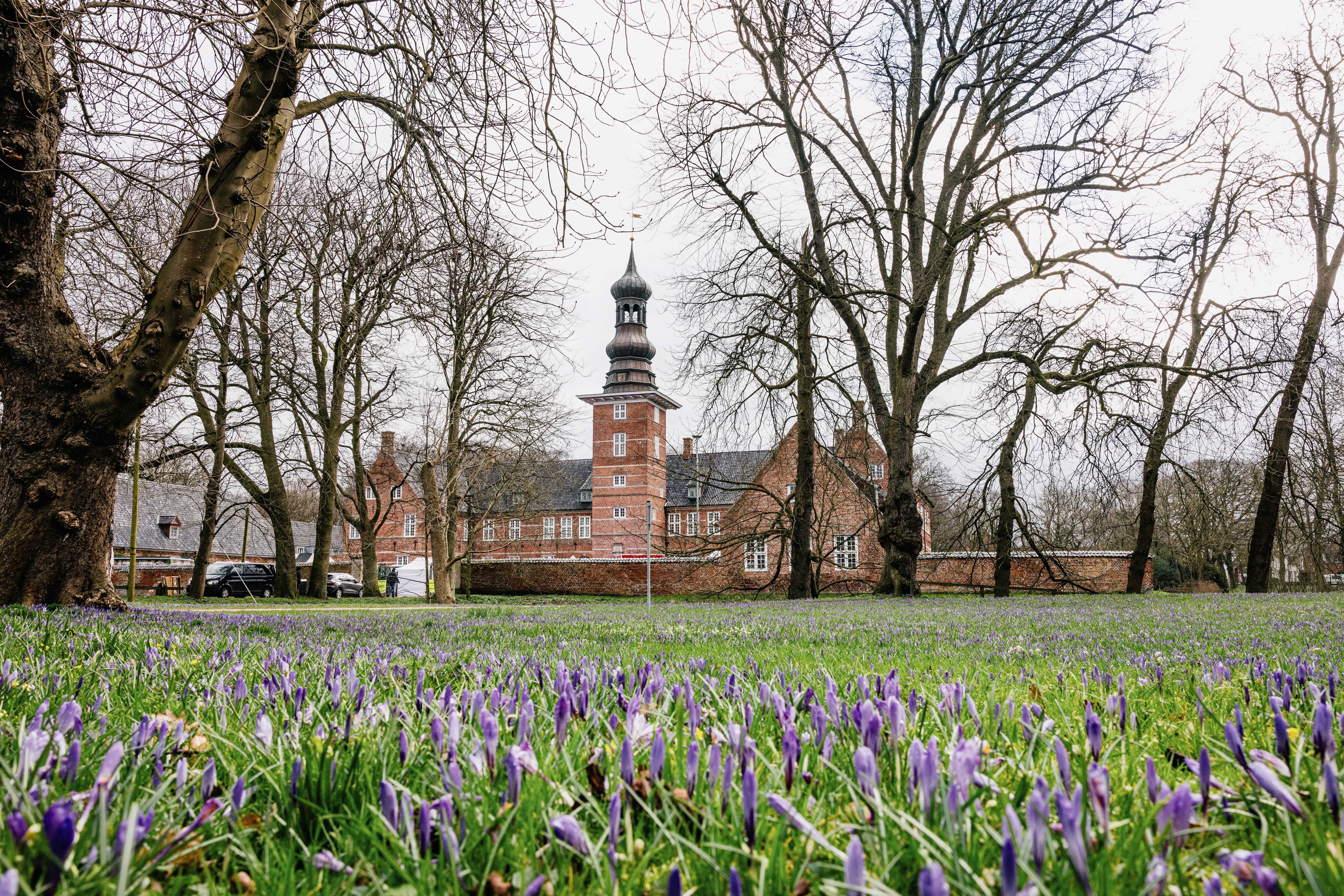 Schloss vor Husum und der Schlosspark mit Krokusblüte im März