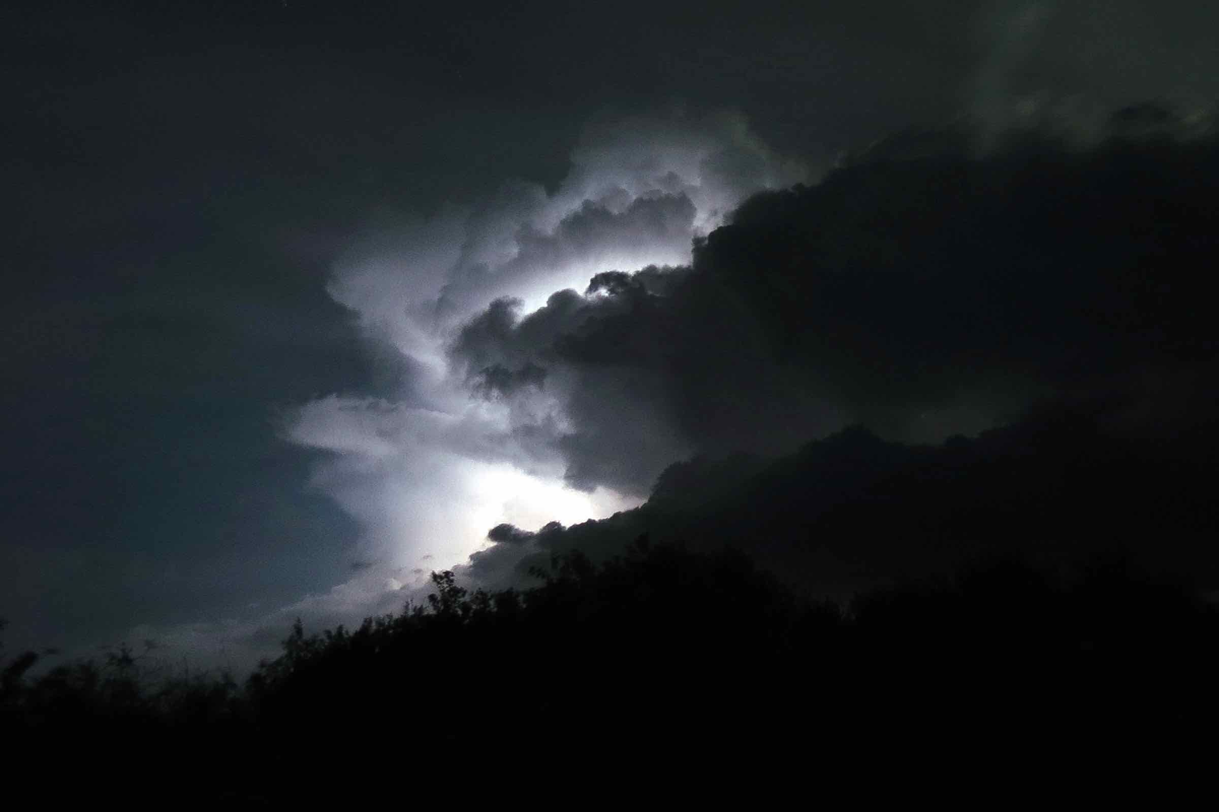 In dieser literarischen Führung lesen wir ausgewählte Texte aus dem Schimmelreiter von Theodor Storm, erzählen über die Geschichte des Deichbaus und was den Beltringharder Koog so besonders macht.
