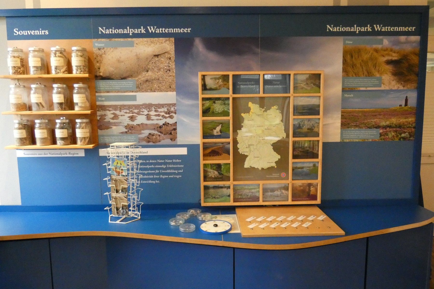 Lernen Sie im Rahmen einer Führung unsere Ausstellung im Nationalpark-Haus Nordstrand kennen.