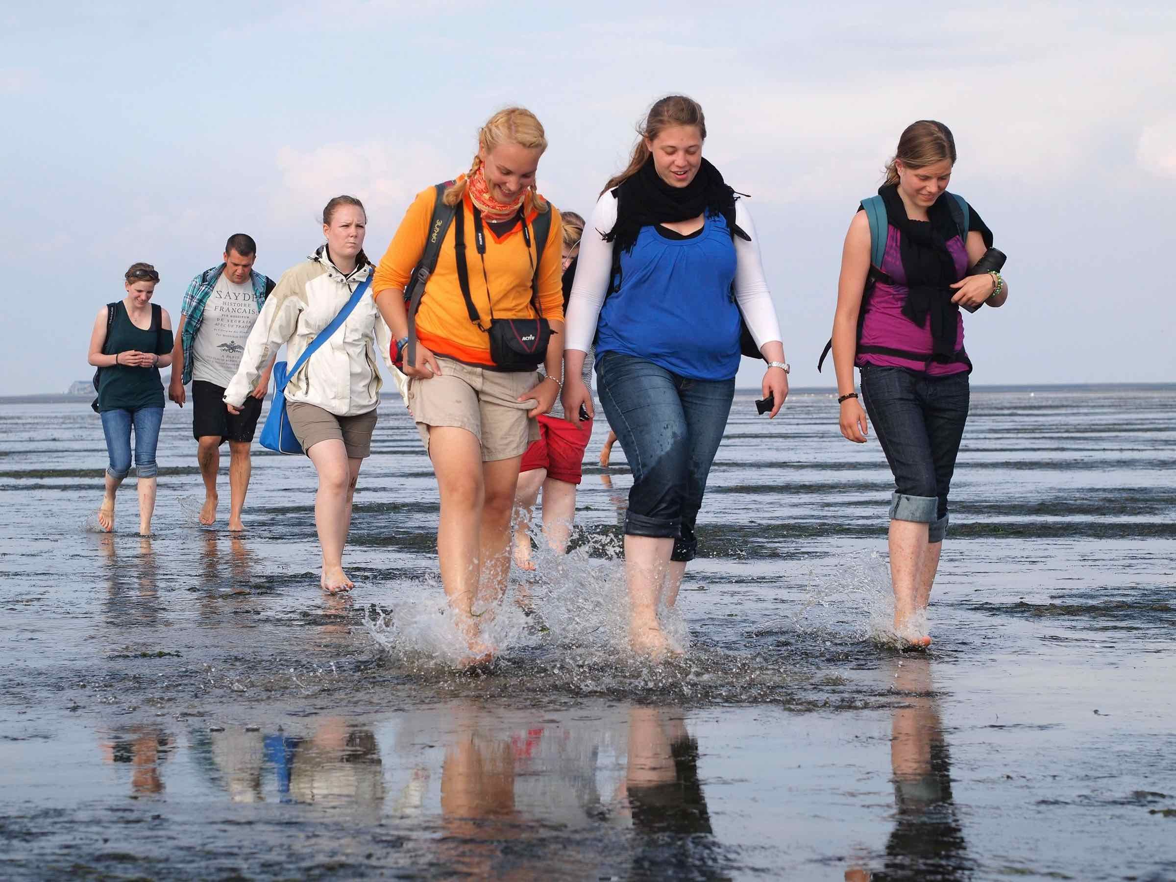 Eine Wattwanderung bei Ebbe gehört zu einem Urlaub an der Nordsee einfach dazu.