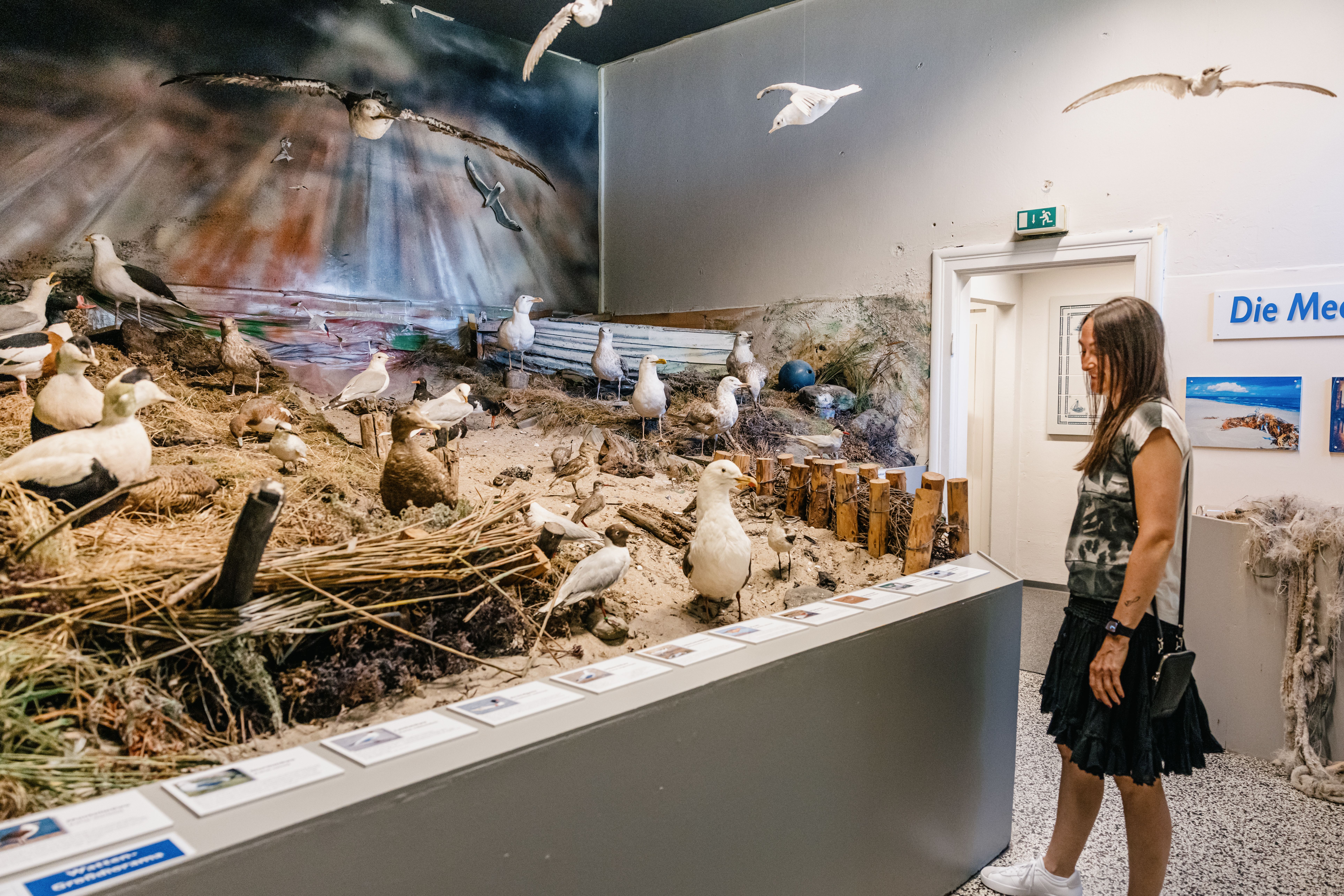 eine der größten Vogelausstellungen Norddeutschlands im Naturnzentrum Mittleres Nordfriesland in Bredstedt