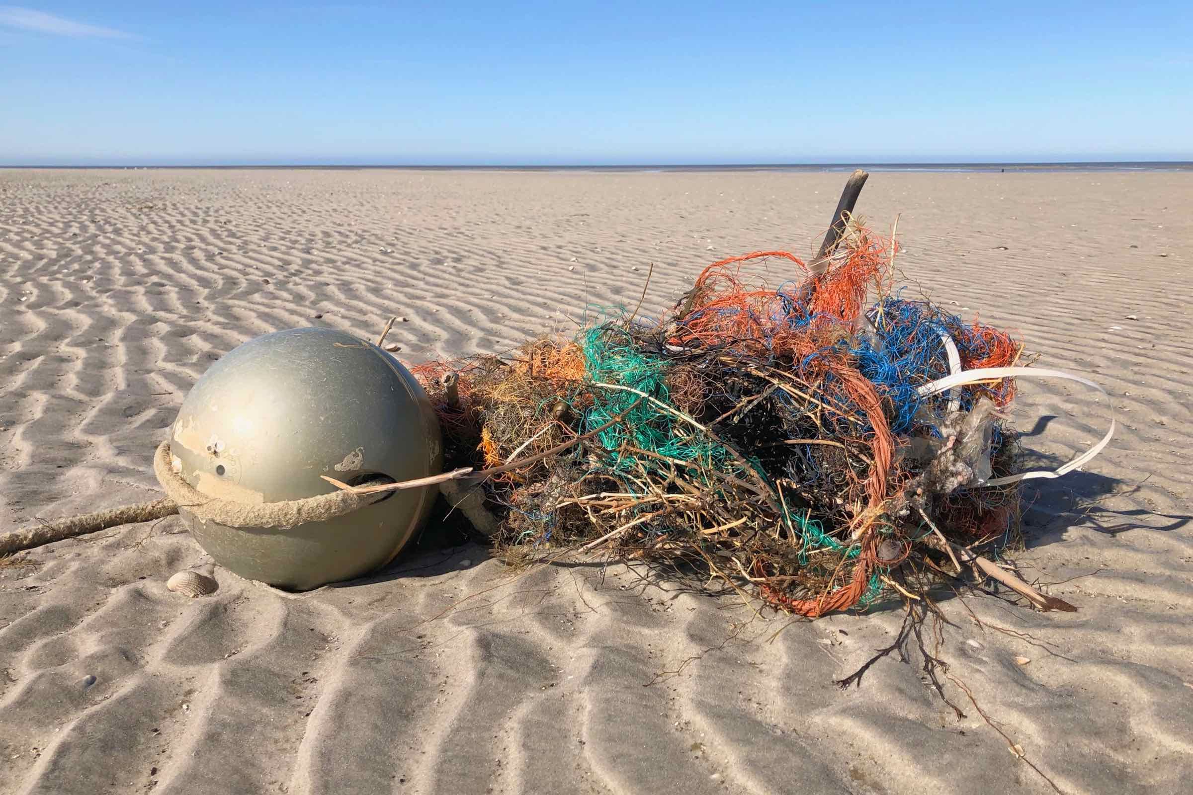 Das Meer spült allerhand an die Küste: Muscheln, Schnecken, Algen und Müll. In unserem Wattlabor entdecken wir die Vielfalt der Funde und schleifen einen Bernstein - das Gold der Nordsee.