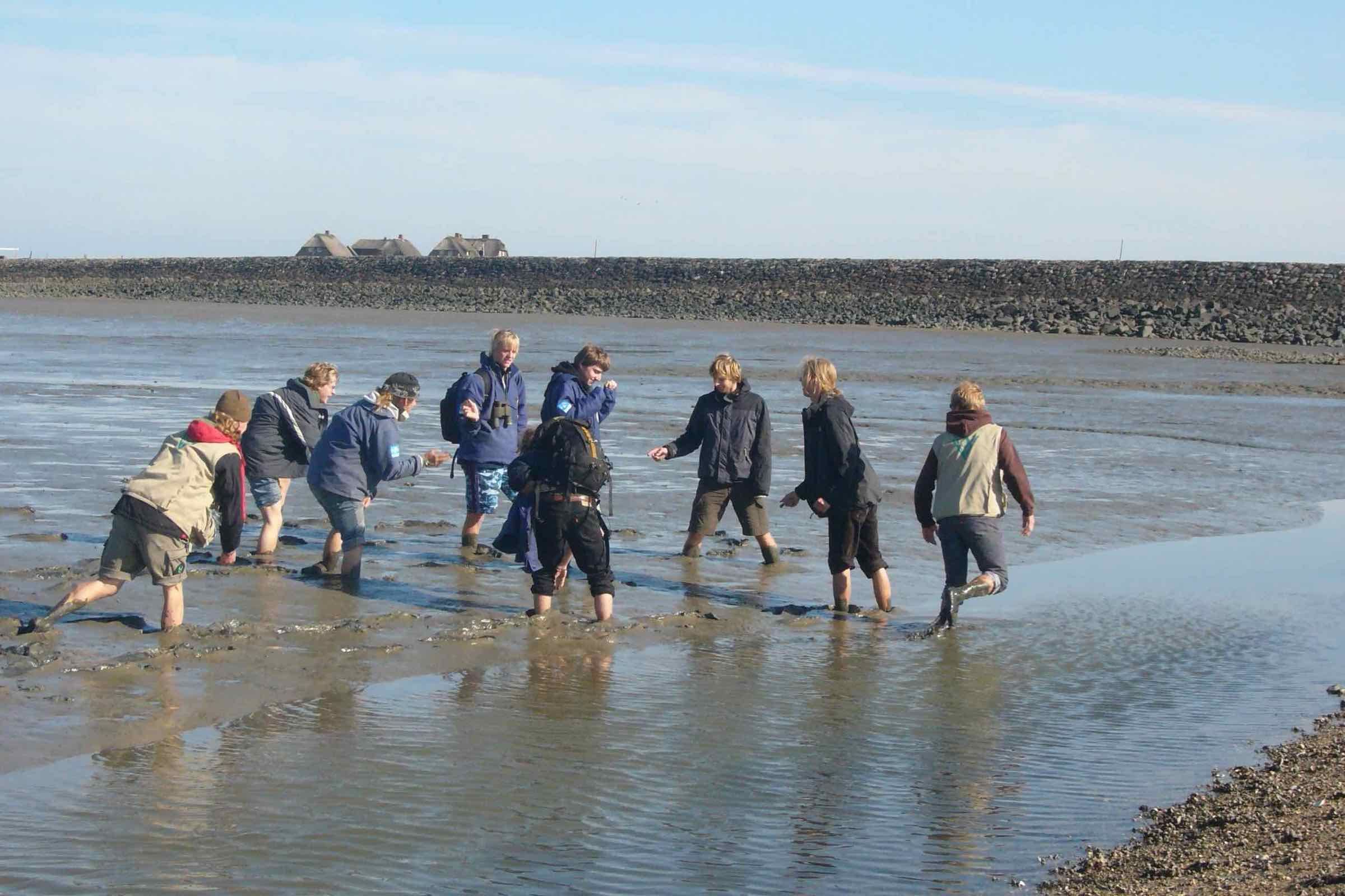 Begleiten Sie uns auf dieser interessanten (und herausfordernden) Wanderung durch das Weltnaturerbe Wattenmeer zur Hallig Nordstrandischmoor und zurück (Dauer: etwa 5 Stunden, Strecke: 8 km).