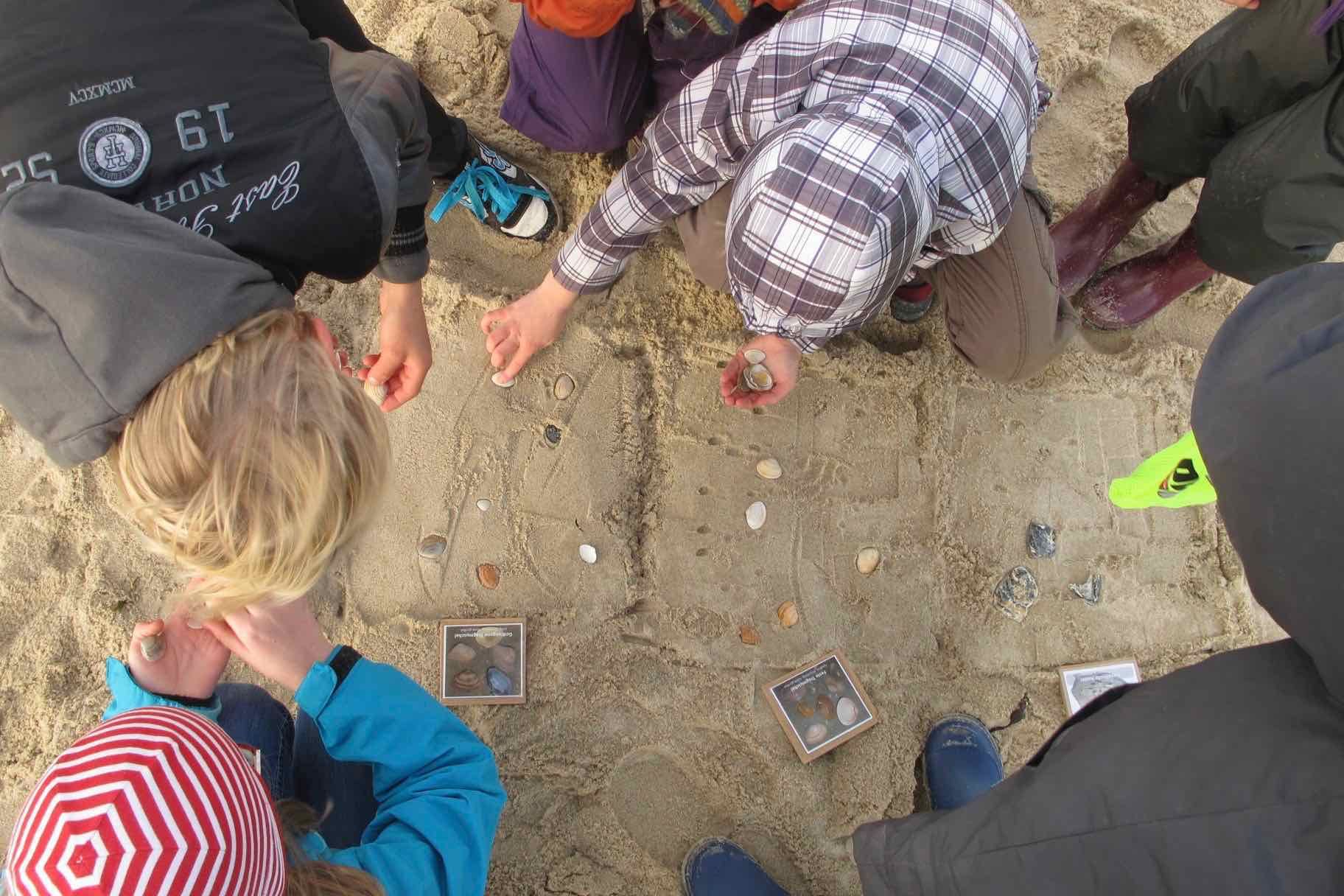 Erleben Sie das Weltnaturerbe hautnah: Die Schutzstation Wattenmeer auf Nordstrand zeigt Ihnen bei dieser Wattführung den Lebensraum von Wattwurm, Herzmuschel und Strandkrabbe und erklärt die Gezeiten.