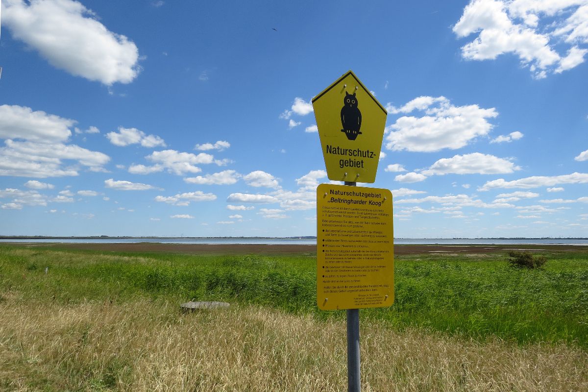 Der Beltringharder Koog ist eines der größten Naturschutzgebiete Schleswig-Holsteins.