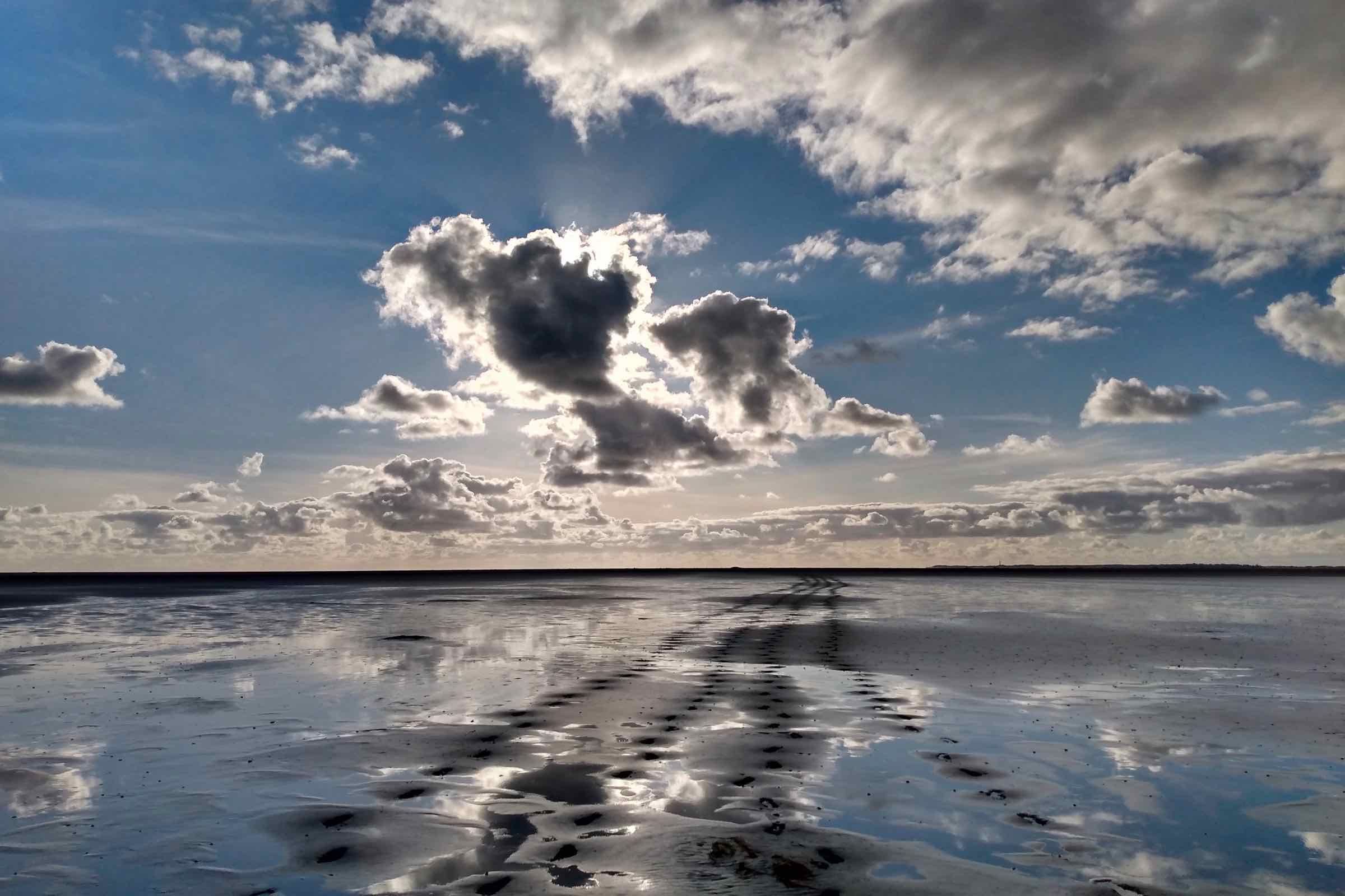 An einem Tag zu einer Sandbank 12 km durchs Watt gehen und dort Vögel zählen? Wir nehmen Sie in diesem eindrucksvoll bebilderten Vortrag mit auf unsere Tour mitten in den Nationalpark.