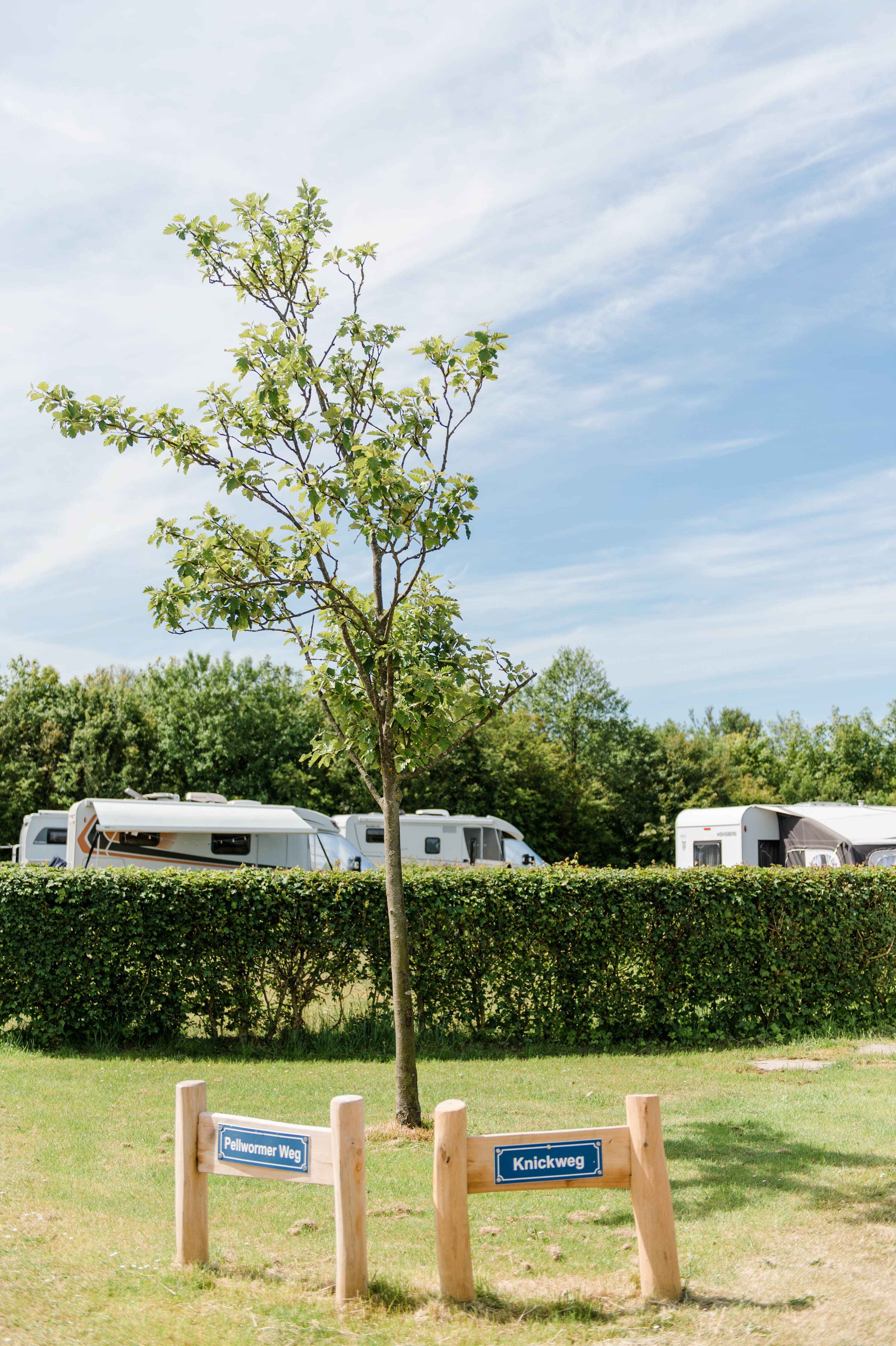 Campingplatz Nordseecamping zum Seehund in Lundenbergsand Simonsberg bei Husum