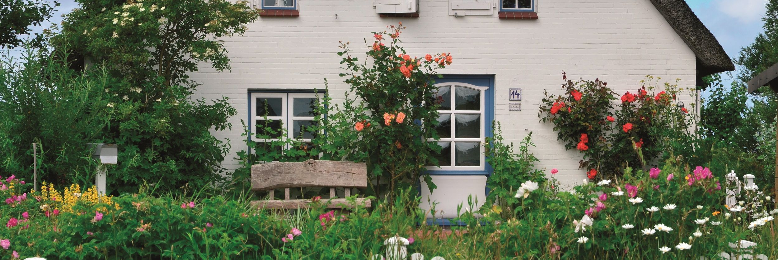 Pellwormer Reetdachhaus mit Rosen an der Hauswand