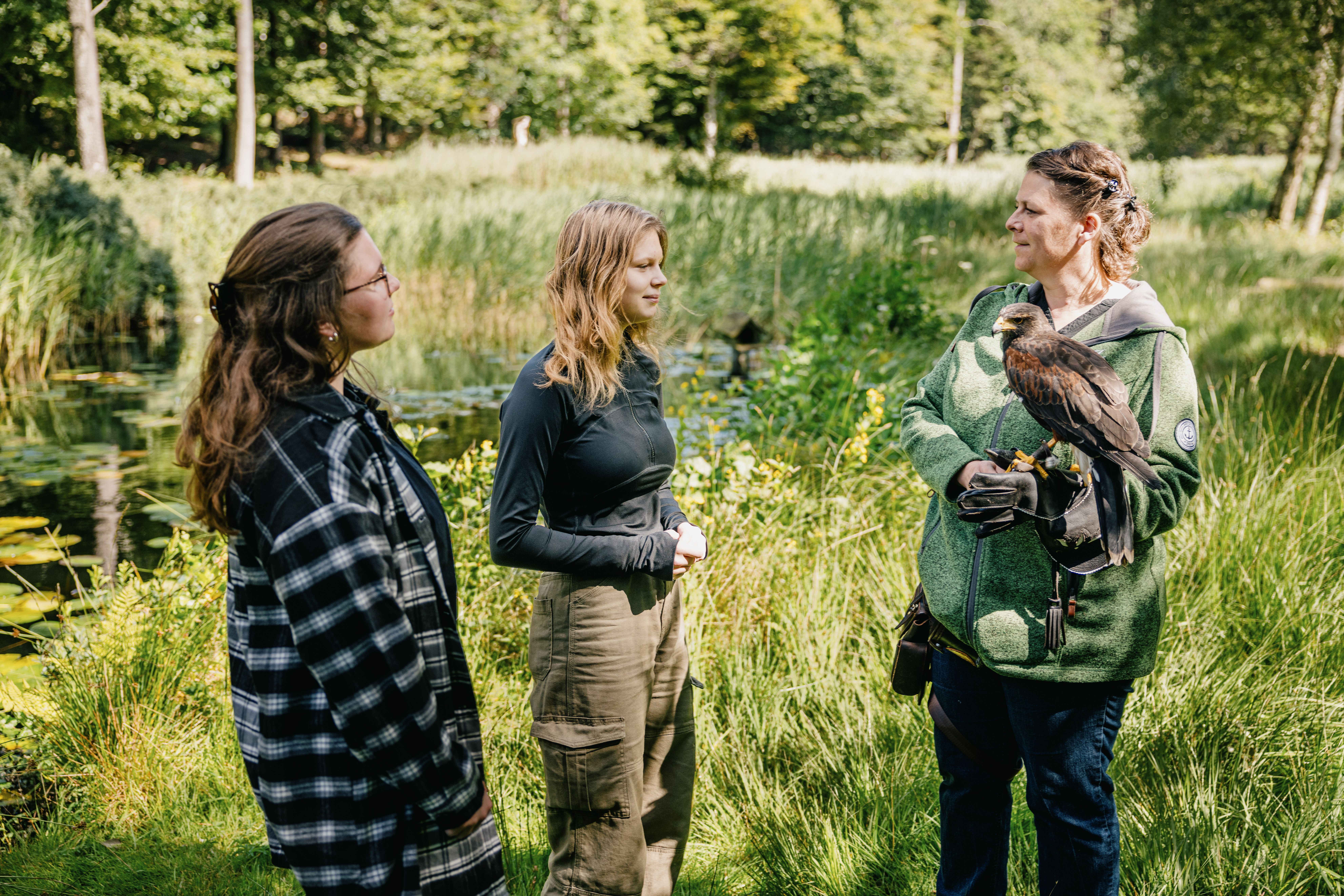 Spannende Greifvogelführungen in Leck im Langenberger Forst Nordfriesland