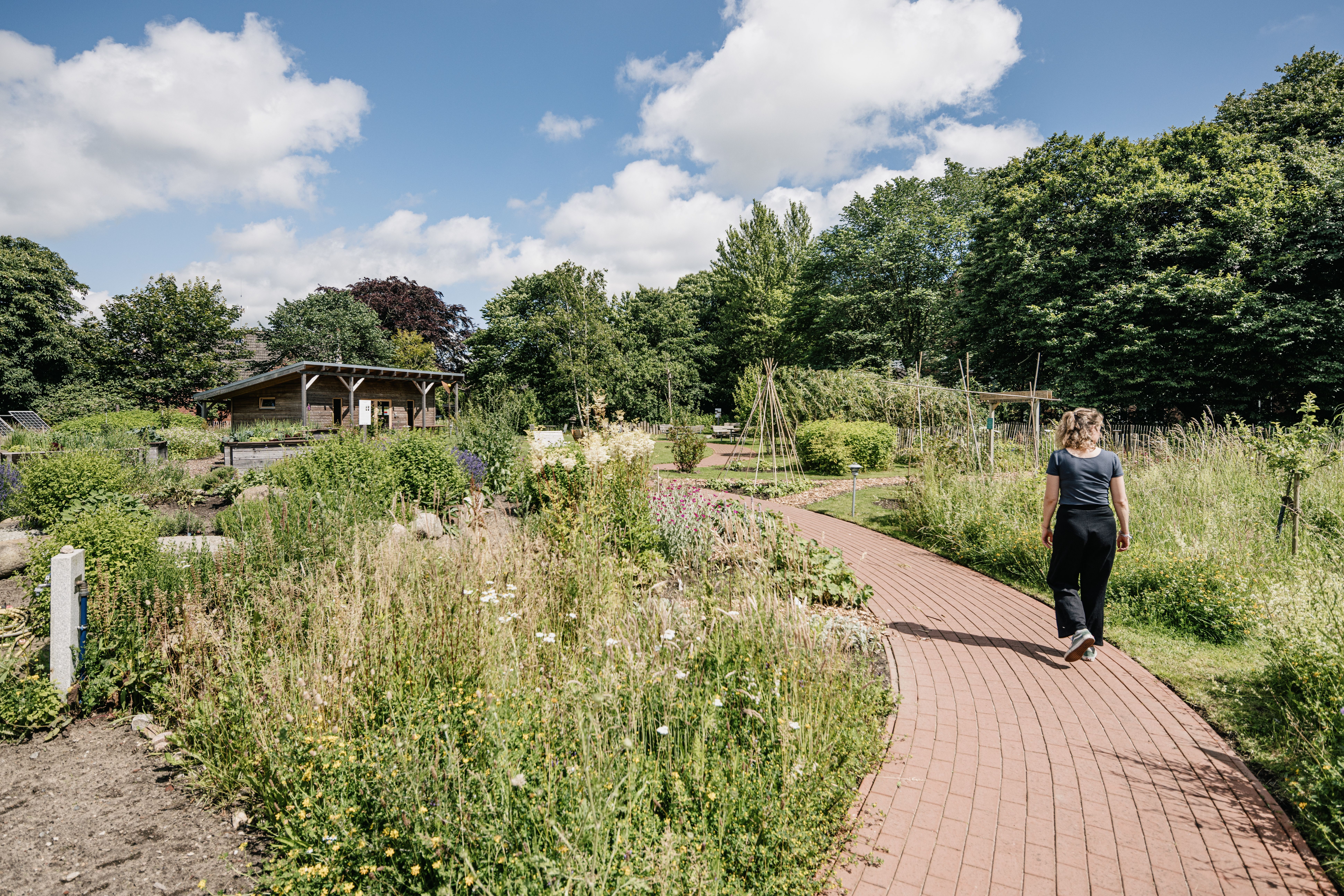 Gemüse, Kräuter und Vieles mehr aus eigenem Anbau im Garten der Sinne des Christian Jensen Kollegs