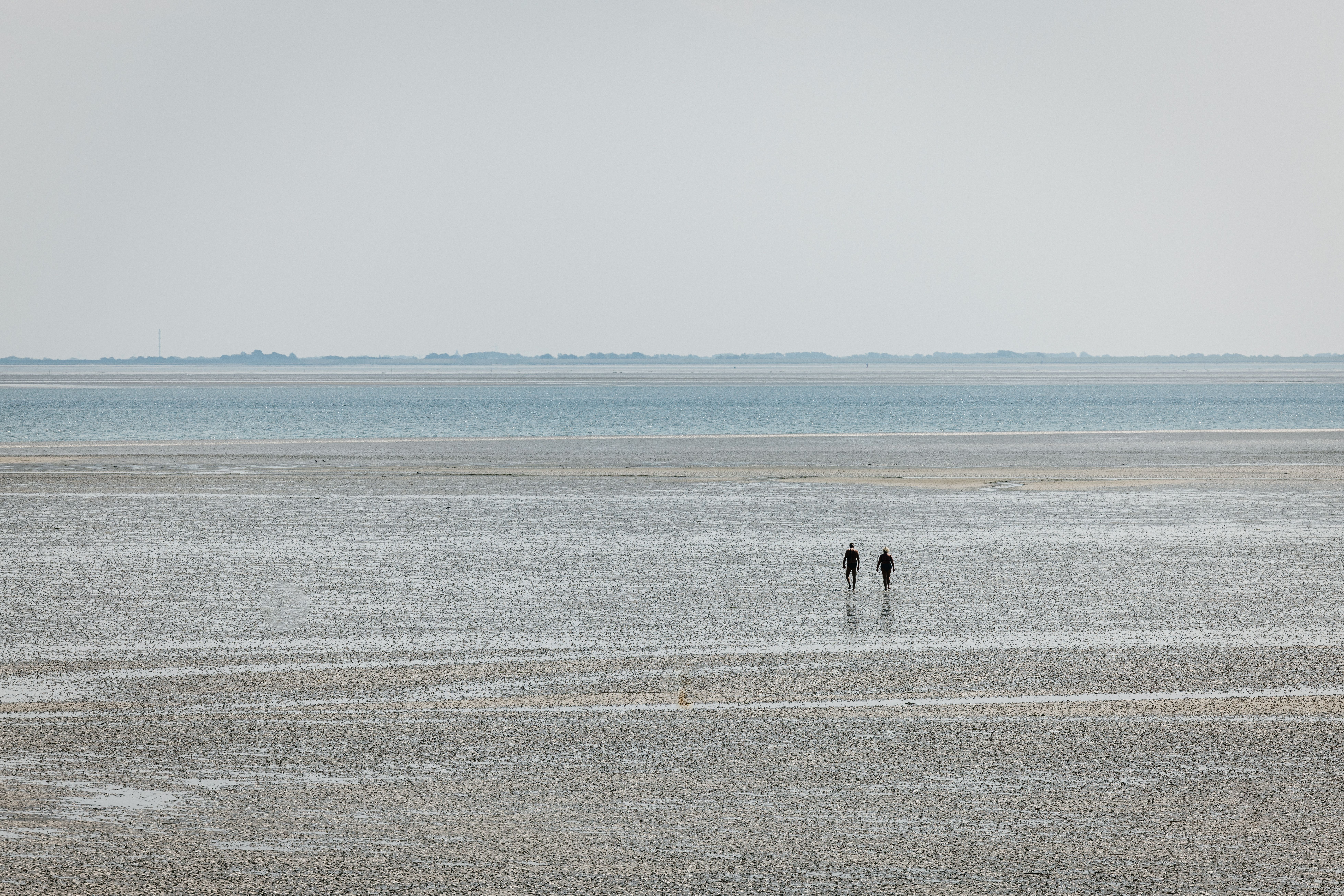 Bei Ebbe ins Watt Buphever Koog Pellworm