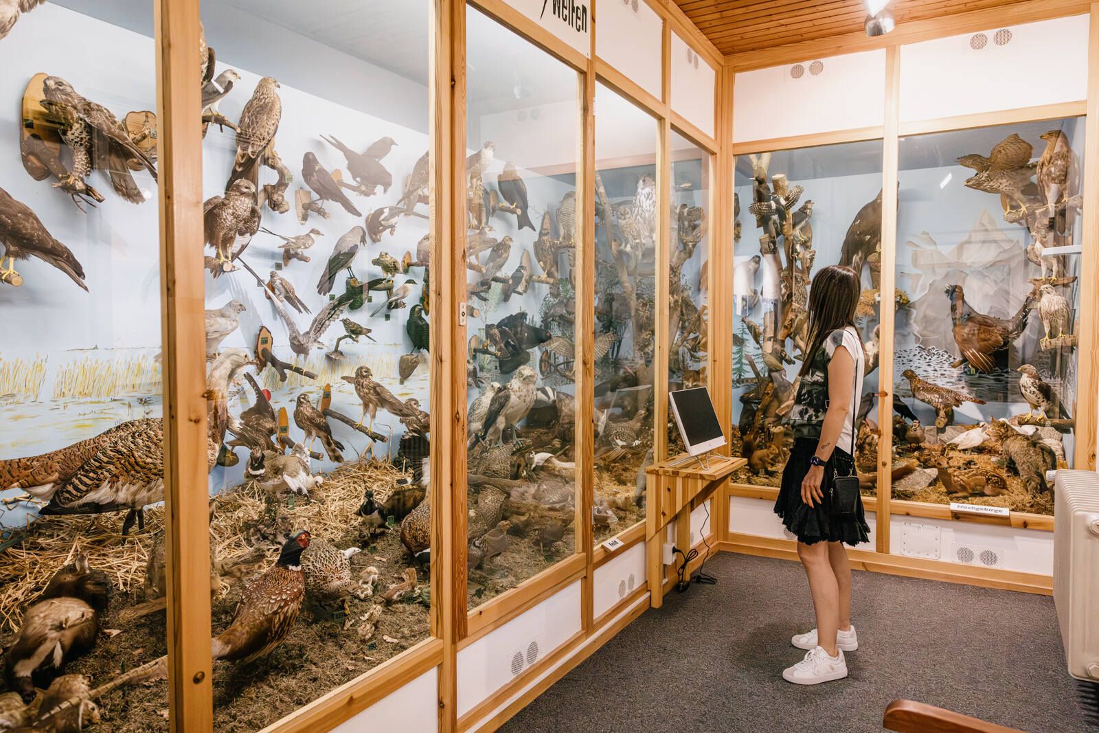 Die Vogelausstellung gehört zu einer der größten Norddeutschlands