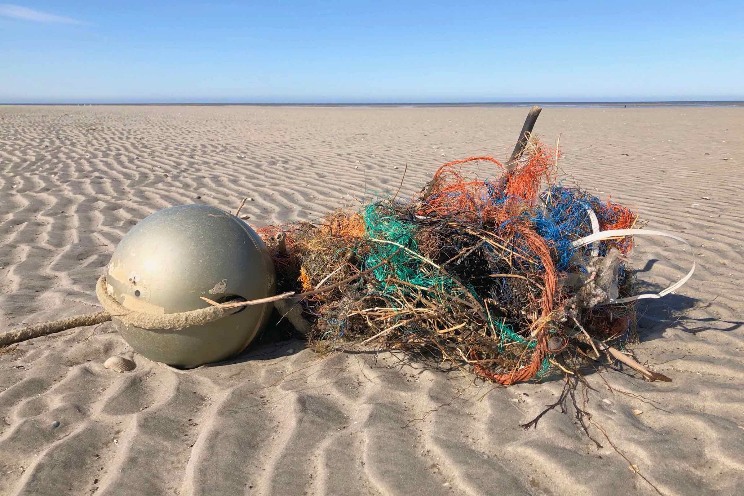 Schleifen Sie mit uns ein Stück Bernstein und lernen Sie diesen und andere Strandfunde besser kennen. Ist der Bernstein eigentlich wirklich ein Stein und wo kann ich ihn finden?