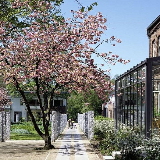 Kirschblüte vor dem Martineum und dem Wintergarten -  Urlaub an der Nordsee im  Christian Jensen Kolleg 