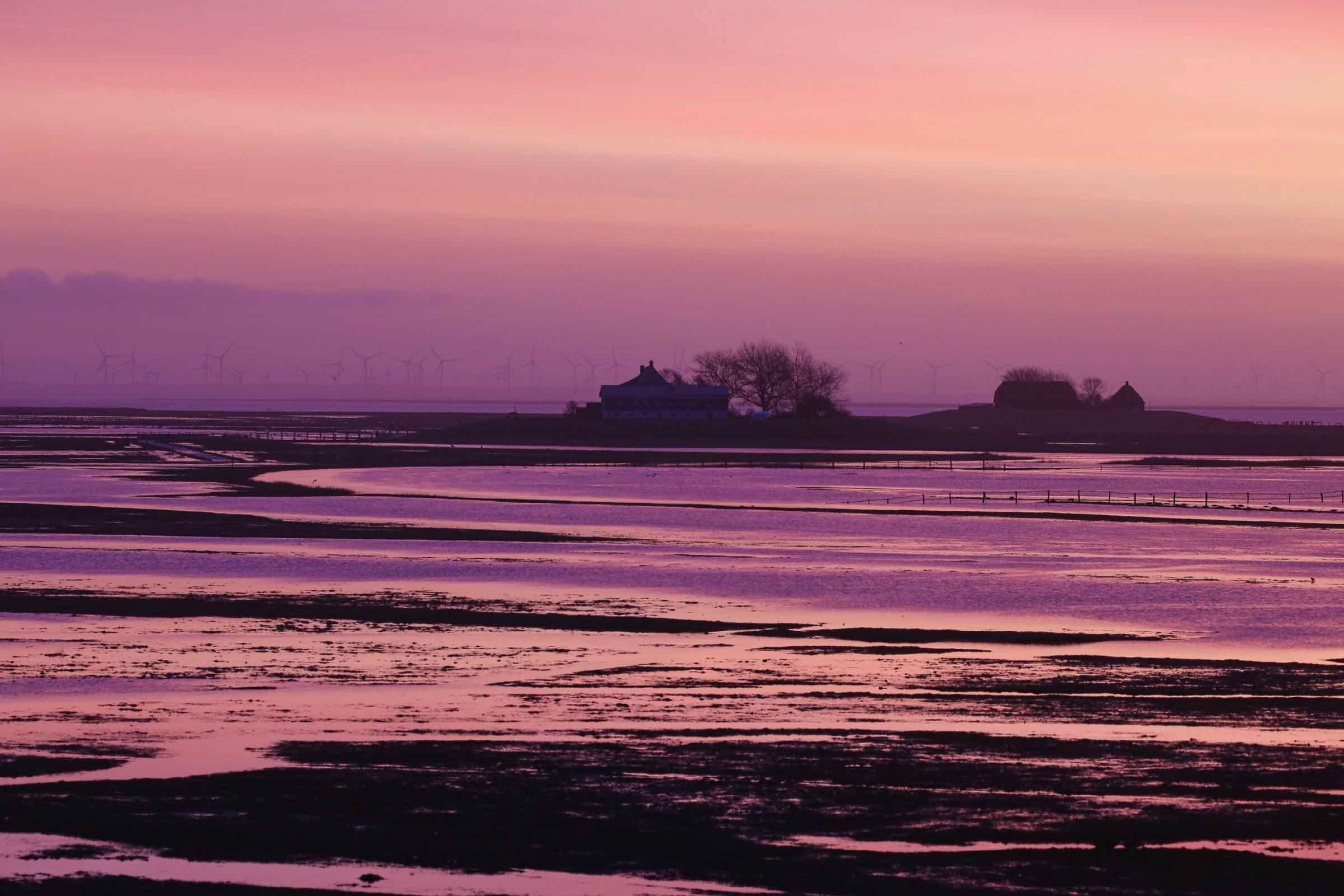 Die untergehende Sonne lässt die Hallig abends in beeindruckenden Farben erstrahlen.