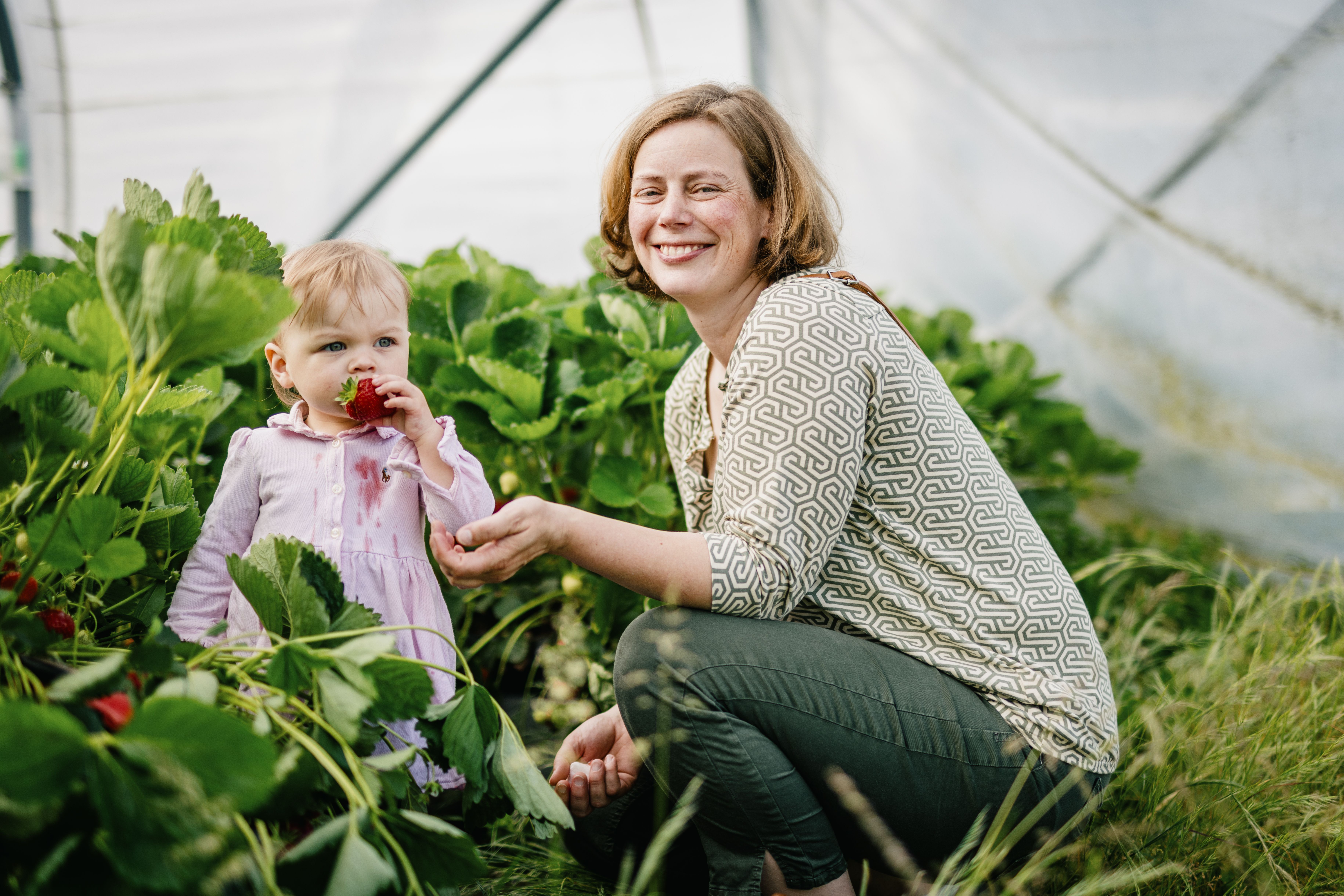 Früchtehof Schmörholm in Leck