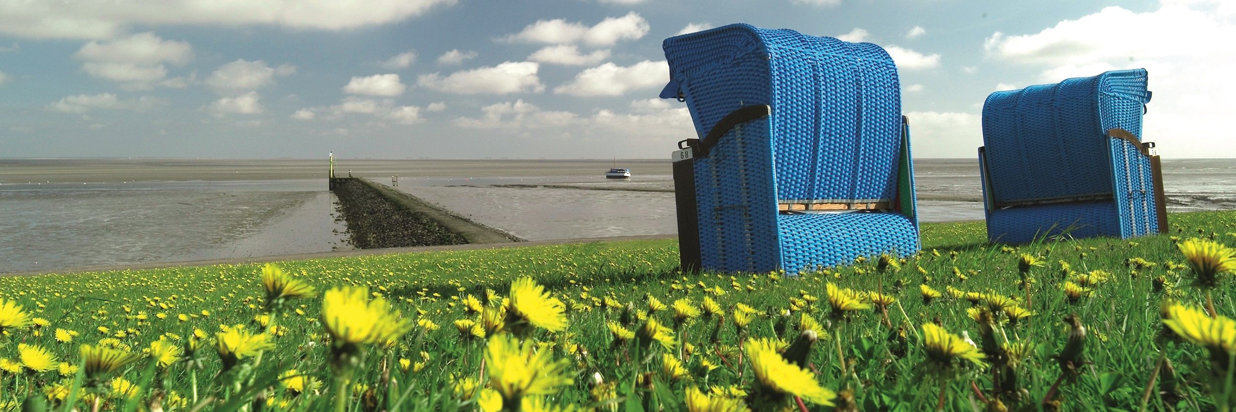 Strandkörbe am Deich auf Pellworm