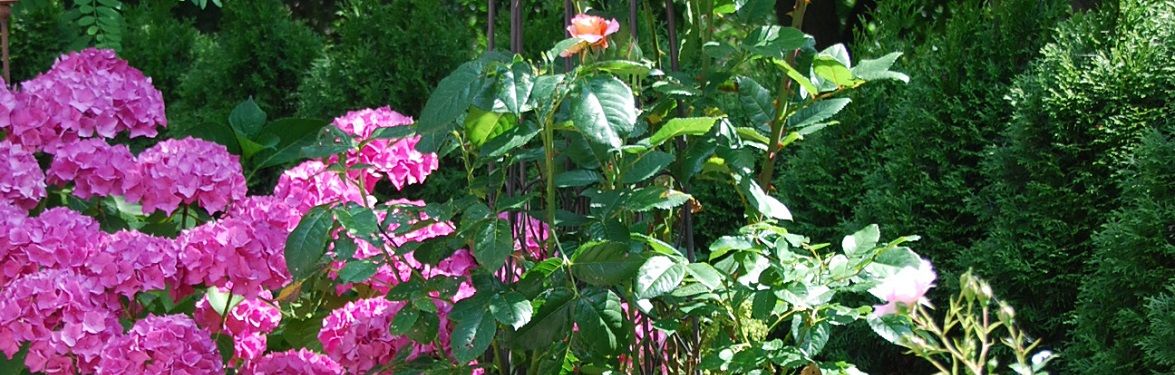 Garten vom Gesundheitshof Denker