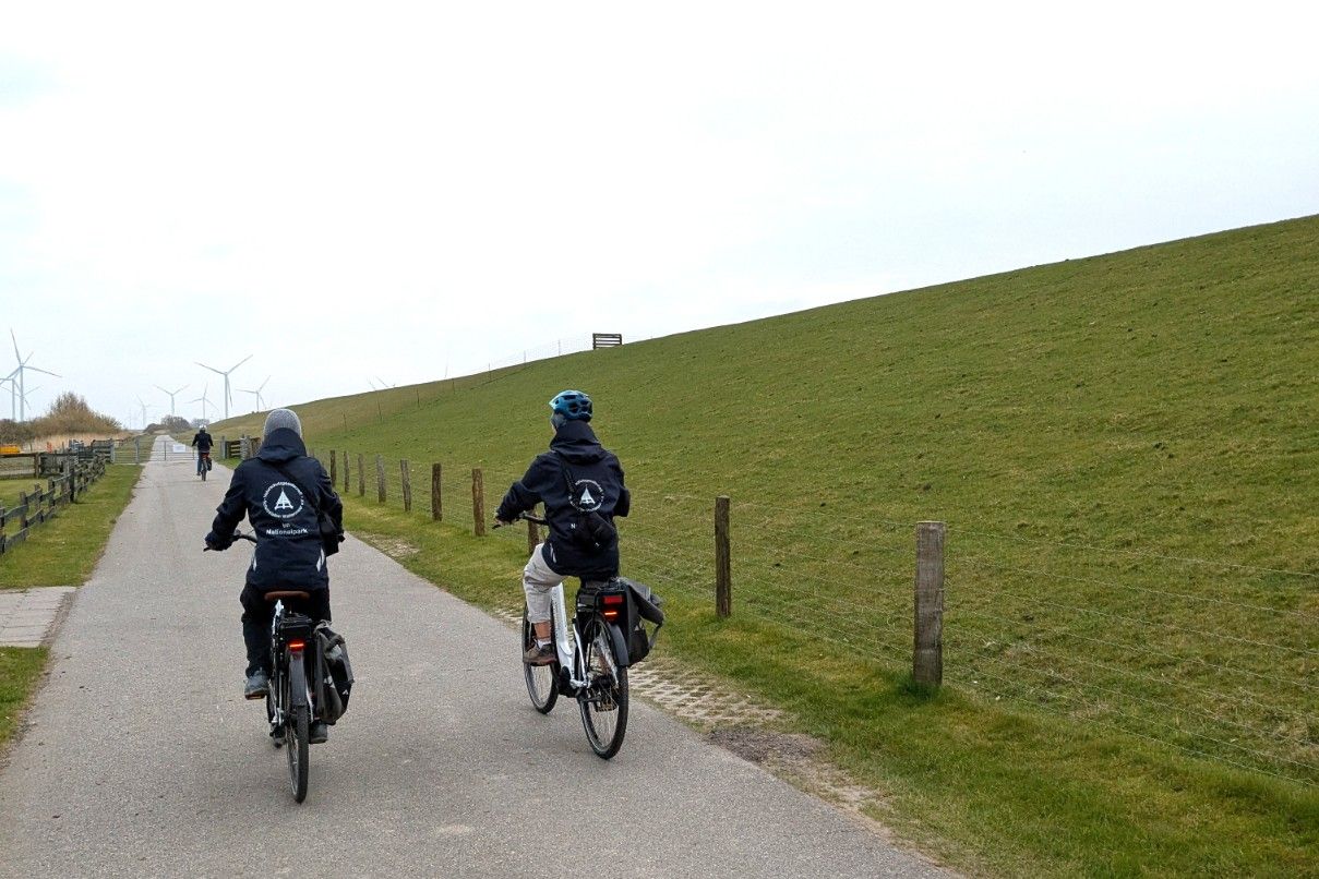 Lernen Sie die Vogelwelt des Beltringharder Koogs bei einer geführten Radtour kennen.