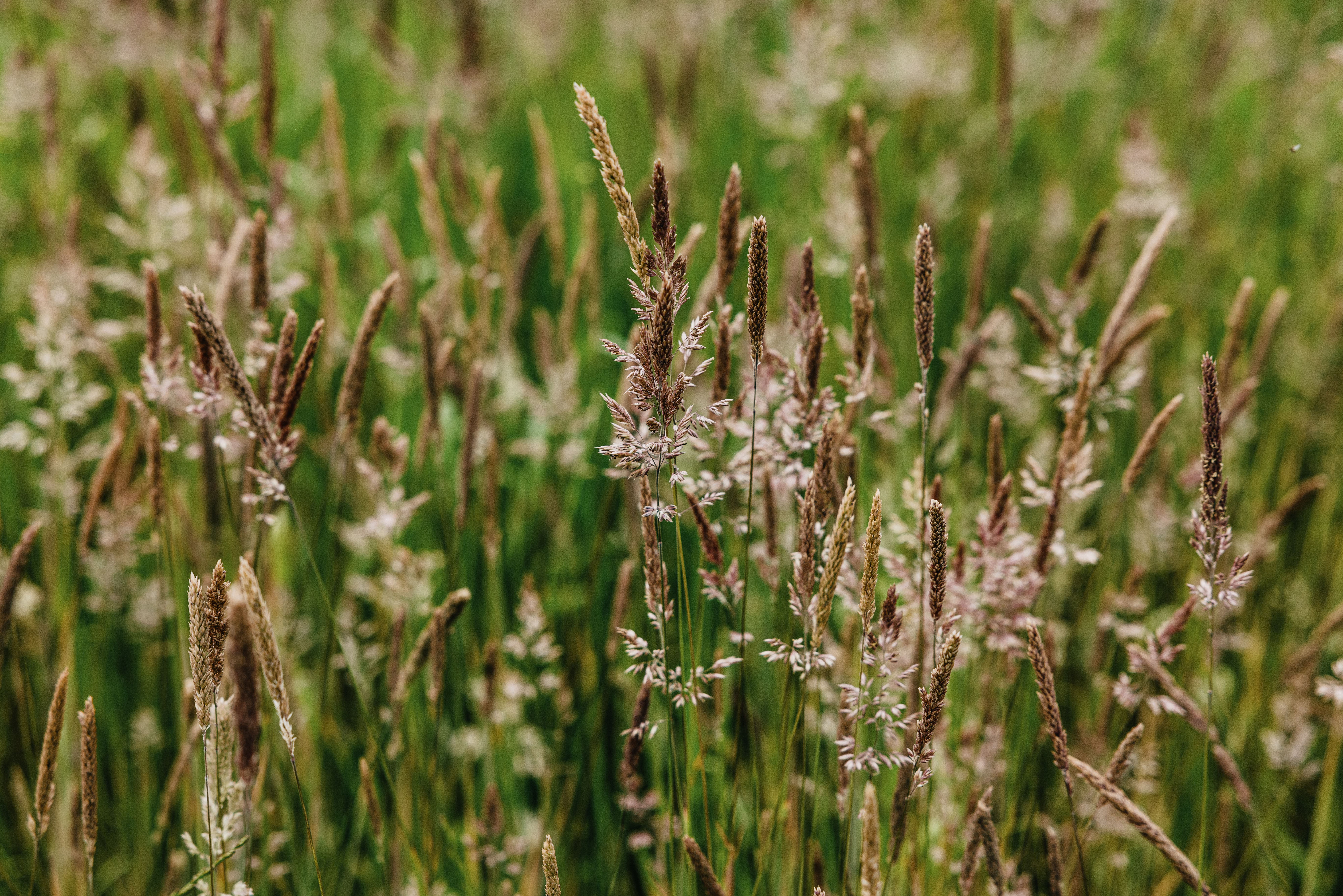 Der Annettenhof in Klanxbüll ist umgeben von Natur