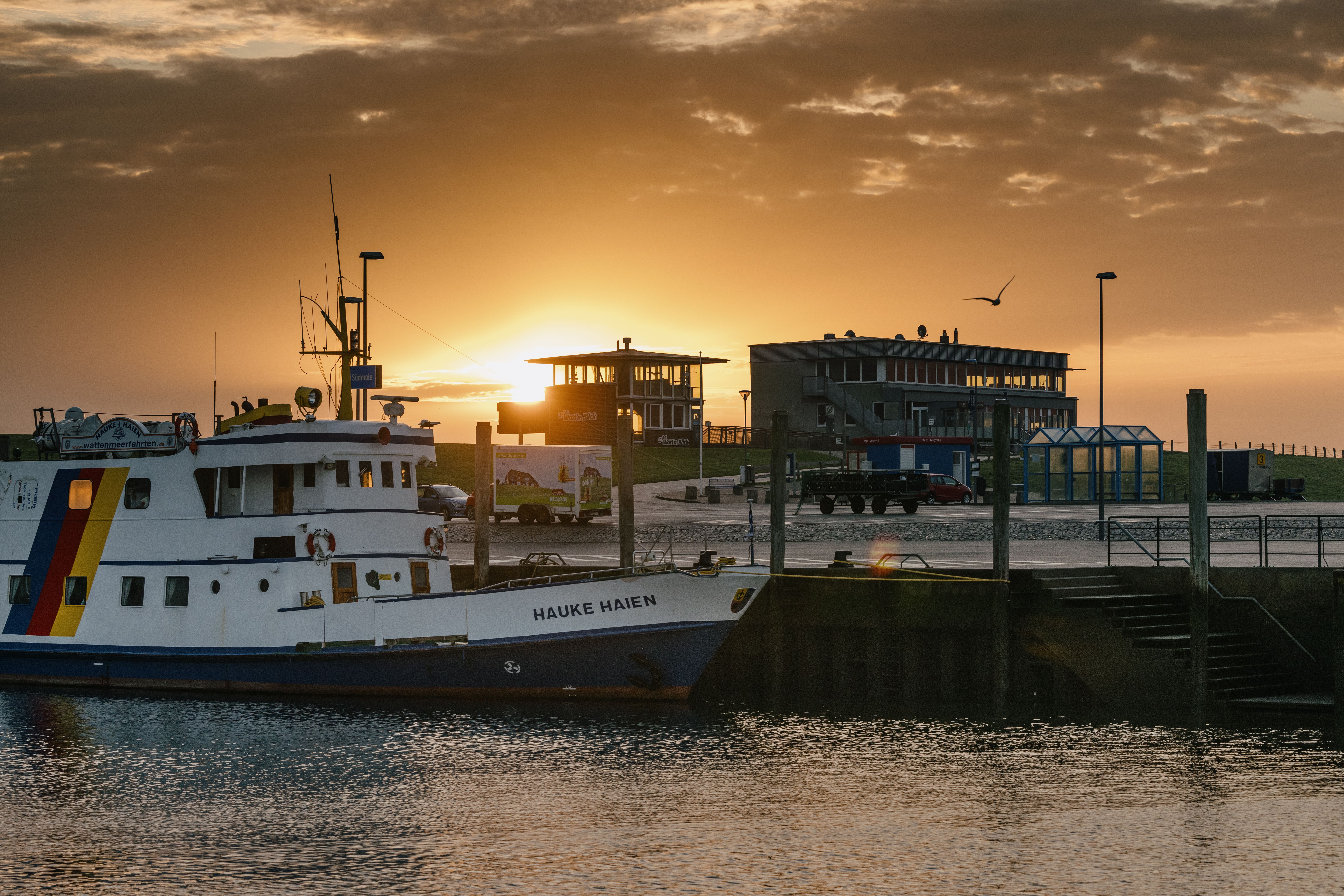 Ausflug: Wattenmeerfahrten mit der Halligreederei MS Hauke Haien
