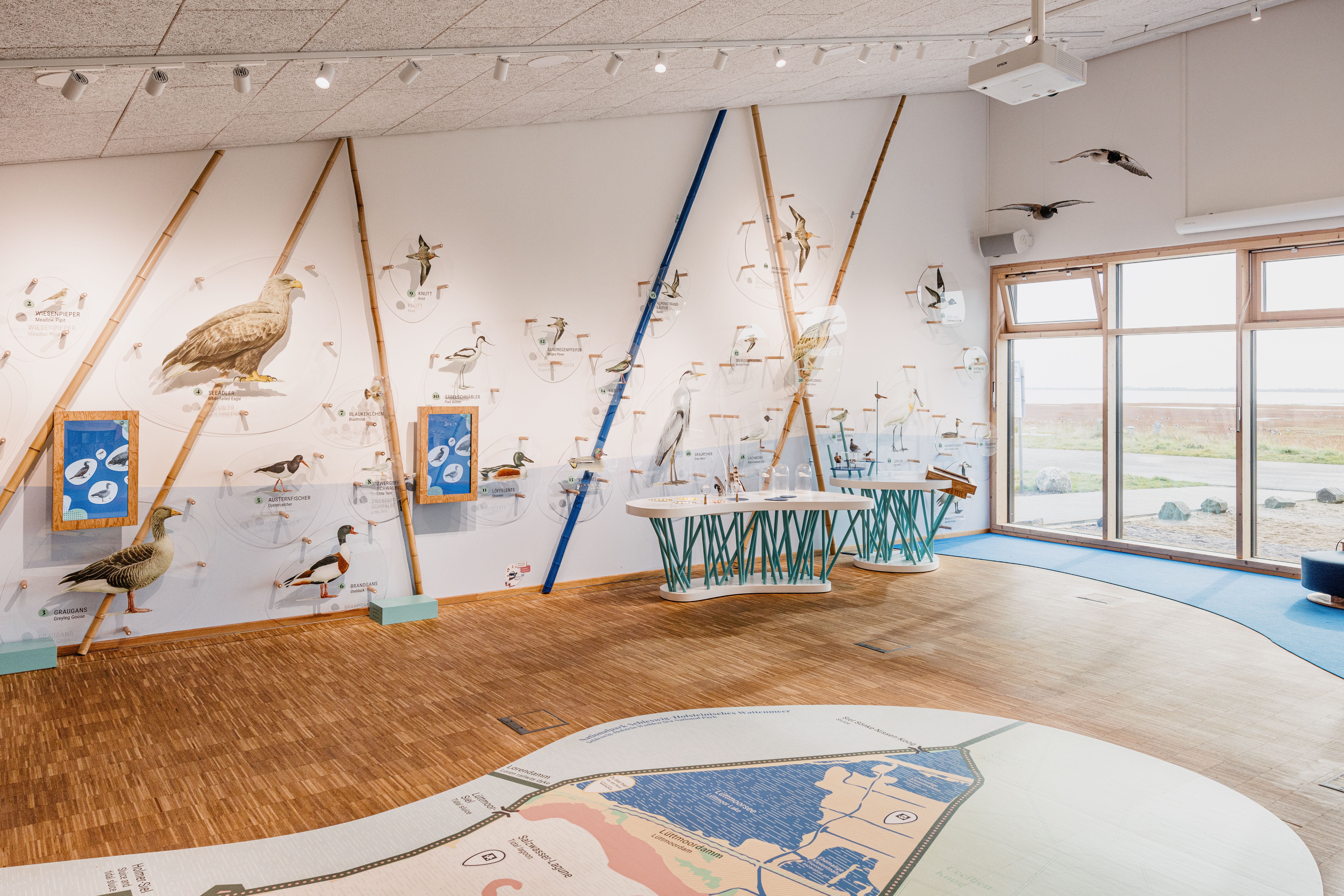 Wissenswertes zur Natur in der Region inkl. Vogelausstellung der kostenfrei zugänglichen Integrierten Station Westküste in Lüttmoorsiel