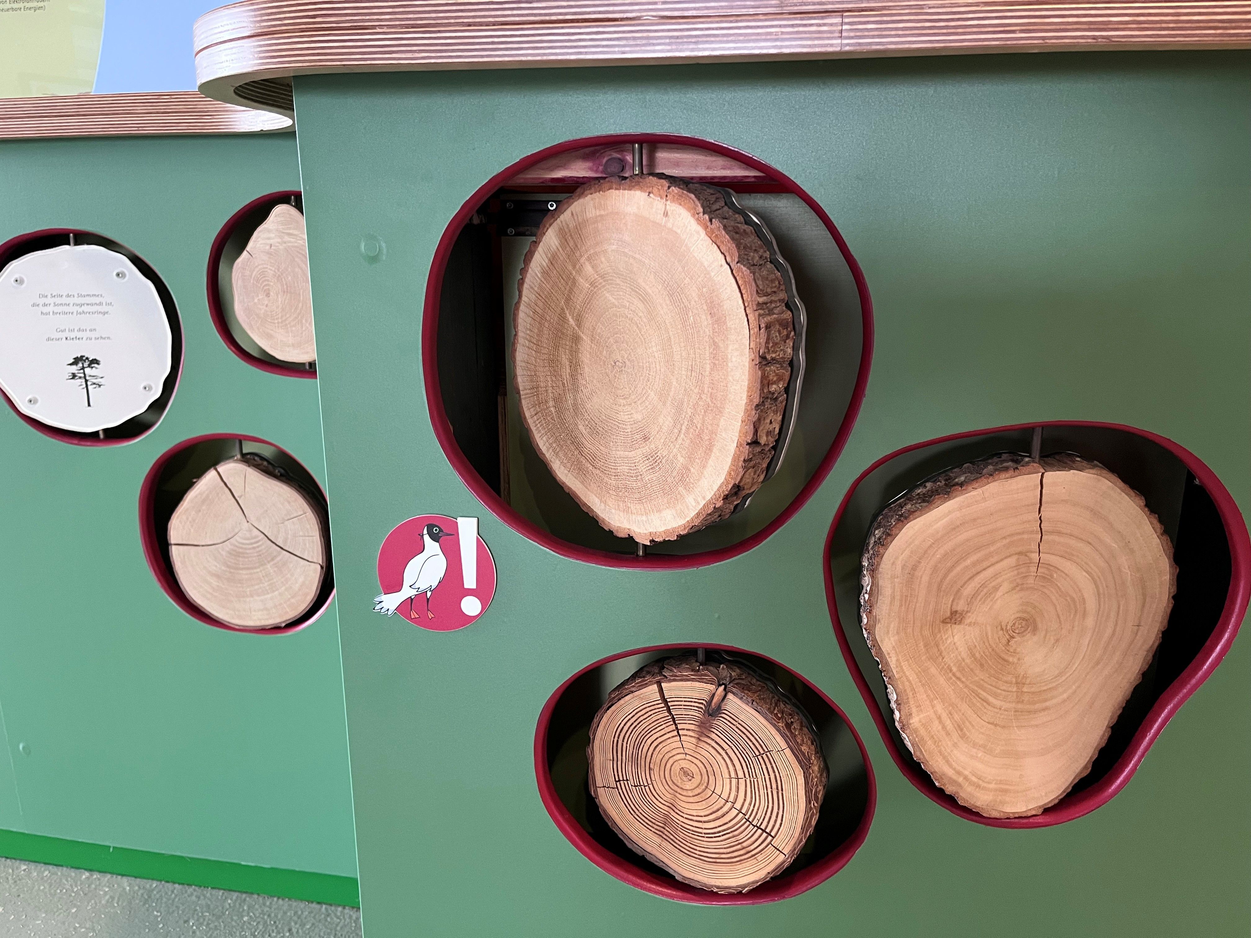 Kindgerechtes Angebot im Amsinck-Haus