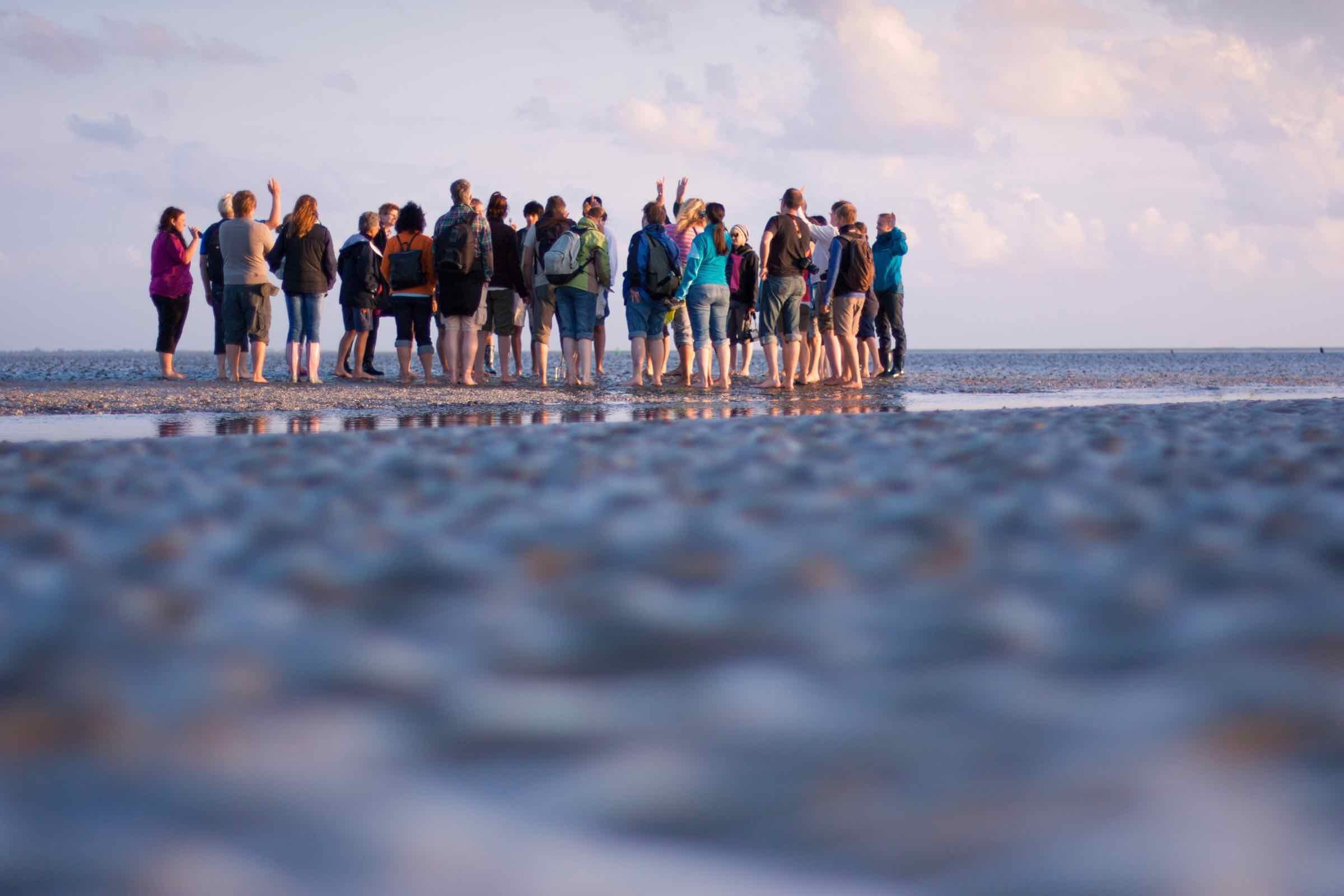 Was sind die Folgen des Klimawandels für das Wattenmeer? Welche Folgen hat der Meeresspiegelanstieg für die hier vorkommenden Pflanzen und Tiere? Wir suchen bei dieser Wattwanderung nach Antworten.