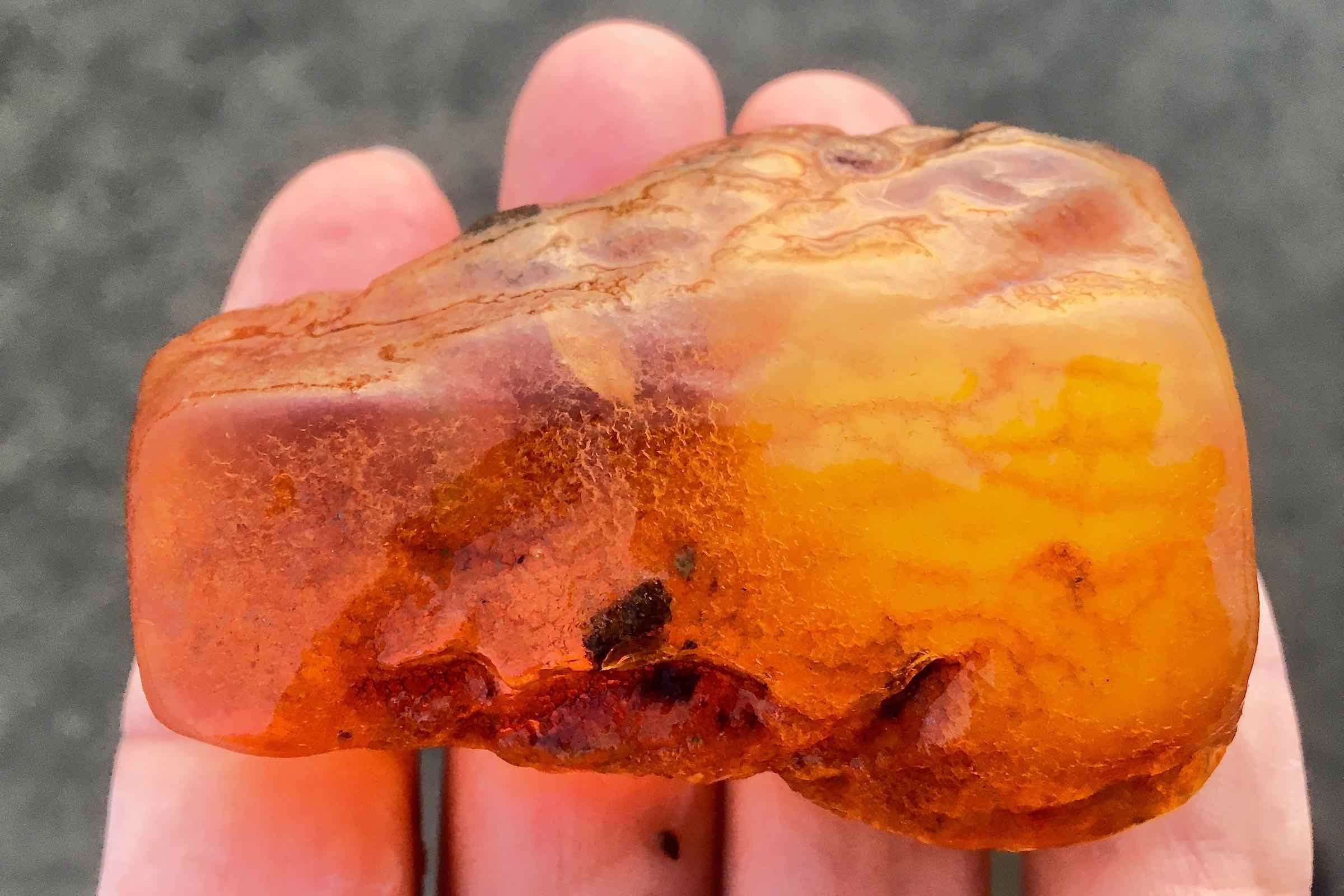 Schleifen Sie gemeinsam mit der Schutzstation Wattenmeer im Nationalpark-Haus auf Pellworm ein Souvenir aus Bernstein und erfahren Sie Spannendes über Herkunft und Alter des Goldes der Nordsee.
