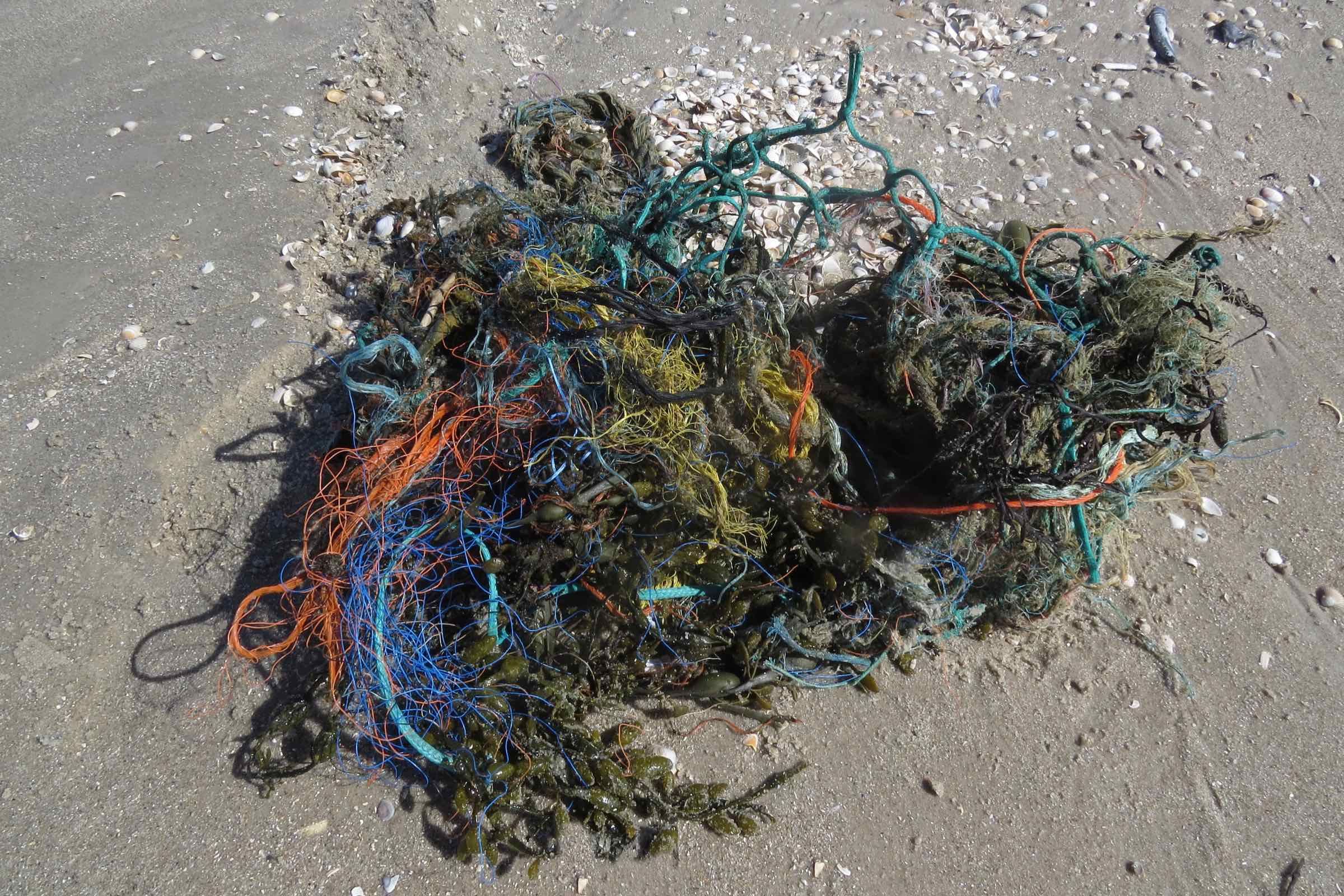 Schleifen Sie selbst ein Stück Bernstein und erfahren Sie Interessantes über die Geschichte des Goldes der Nordsee, wo dieser auf Langeneß gefunden werden kann und über den Nationalpark Wattenmeer.