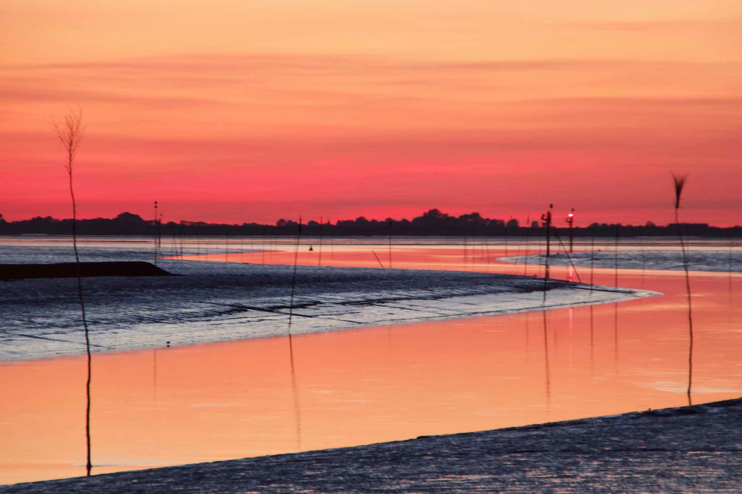 Vor der stimmungsvollen Kulisse von Nordsee und Wattenmeer lauschen wir am Abend der Natur und lyrischen Vorträgen.