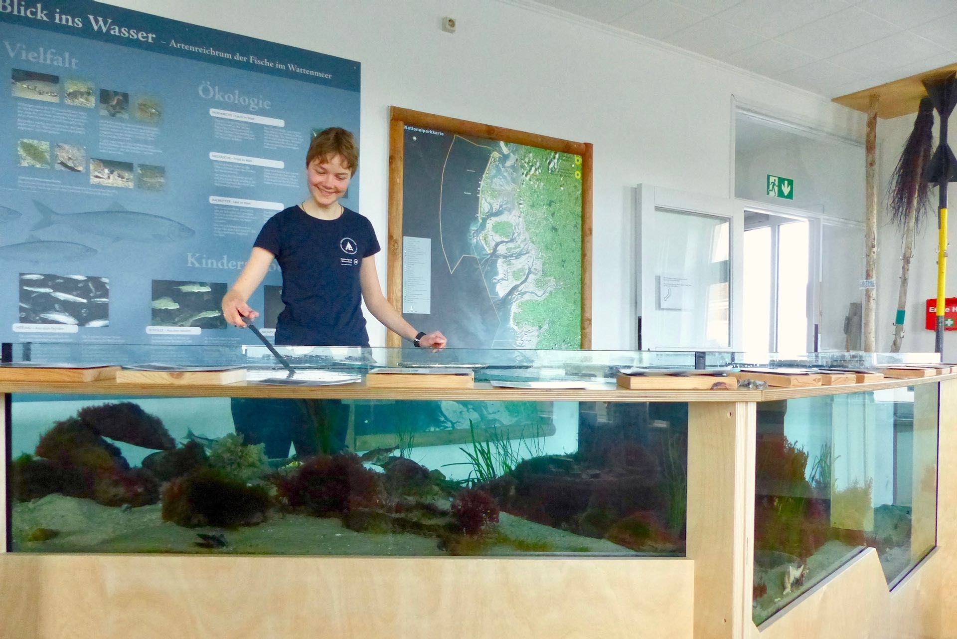 Mit einer Futterzange werden die Tiere gefüttert. Dabei erklären wir euch mehr zur Lebensweise der Krebse, Muscheln, Fische und Seesterne. Kinder dürfen gerne bei der Fütterung helfen.