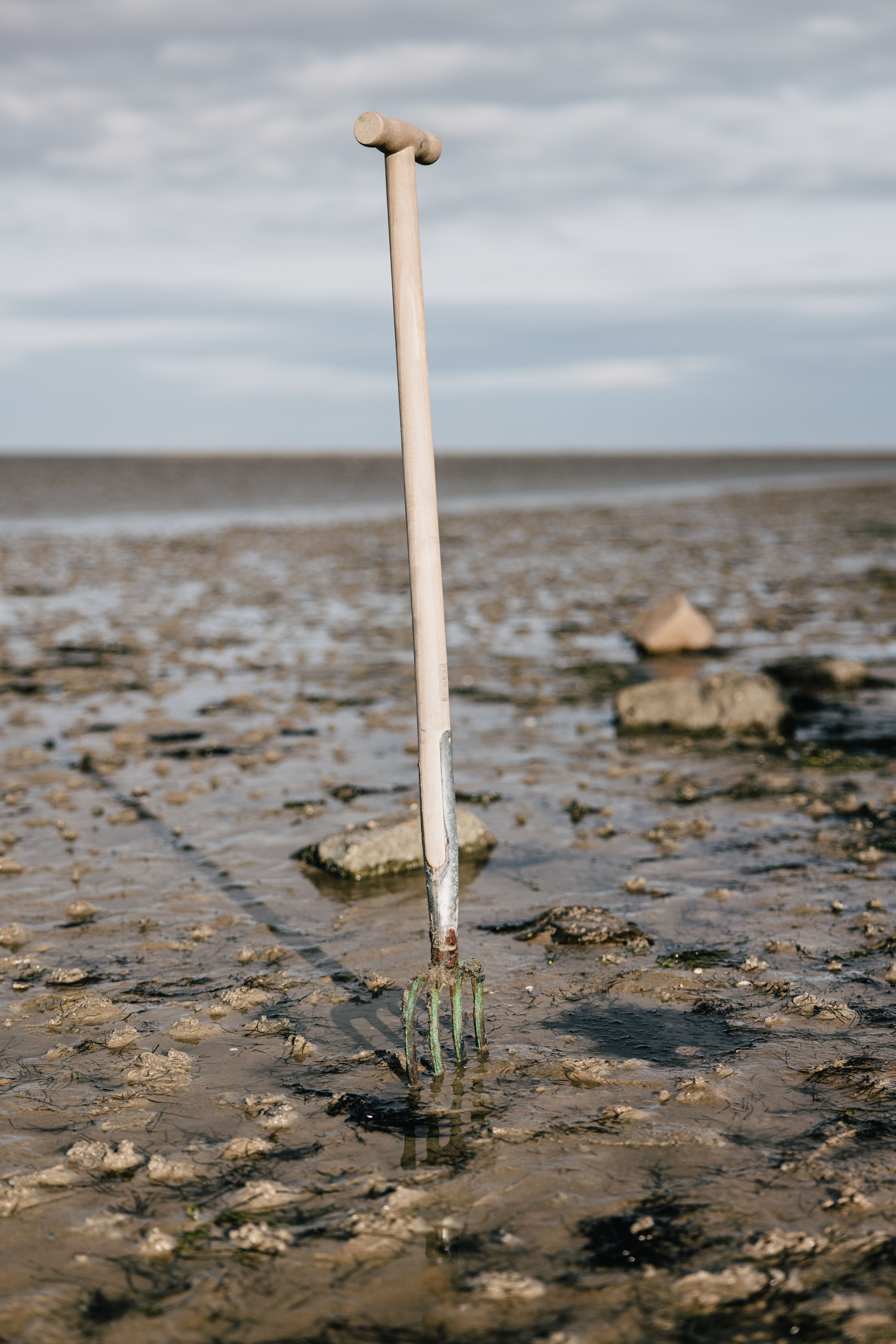 Spaten eines Wattführers im Wattenmeer