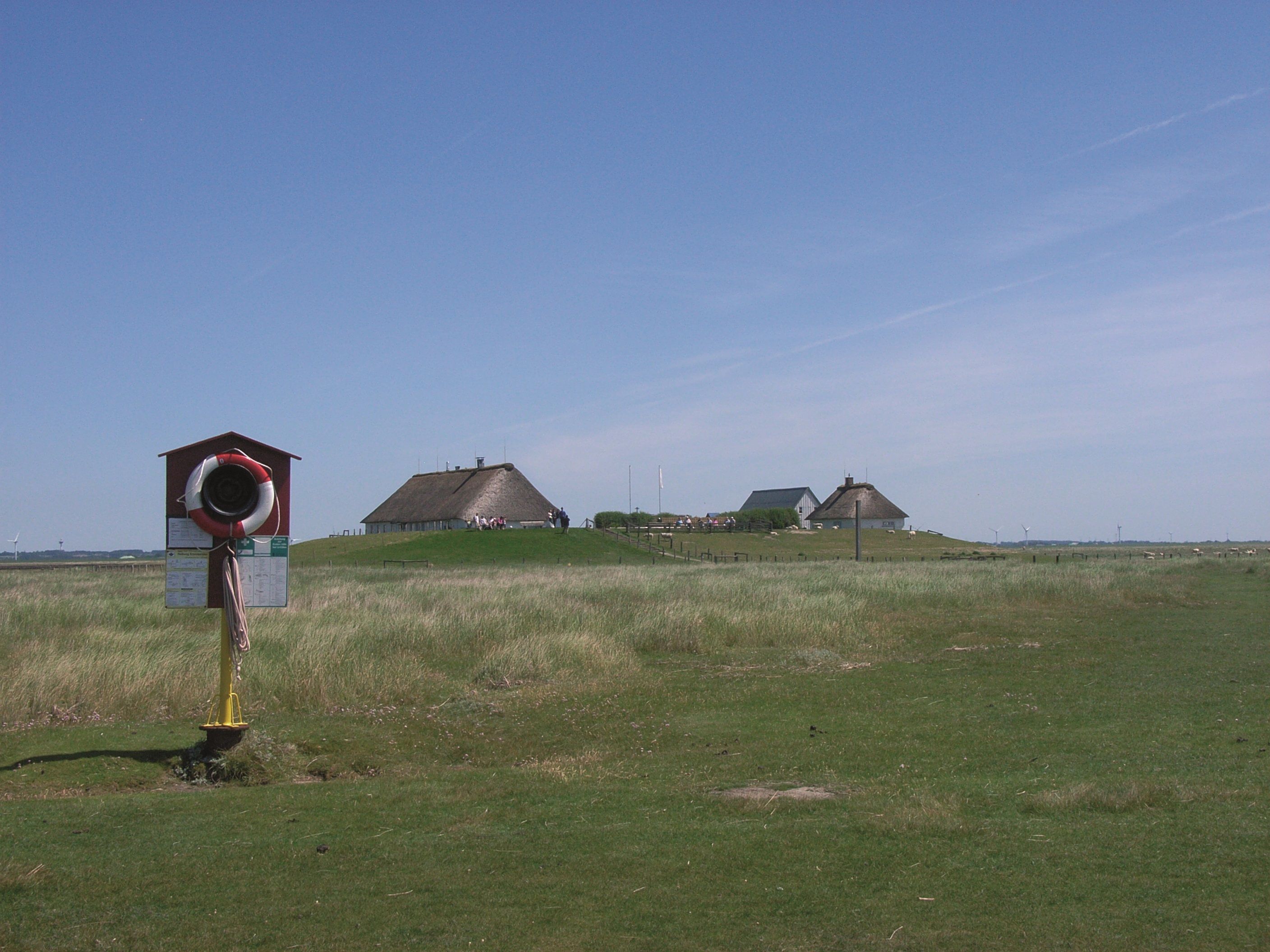 Die Warft der Hamburger Hallig