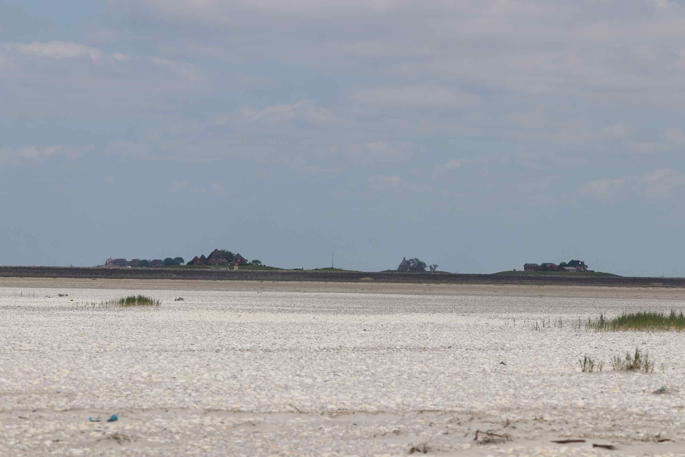 Die Wattwanderung von Hallig Hooge zum Japsand an den Rand des Wattenmeeres ist ein besonderes Erlebnis. Sand so weit das Auge reicht und ein Spülsaum voller Muscheln und Schnecken erwarten uns dort.