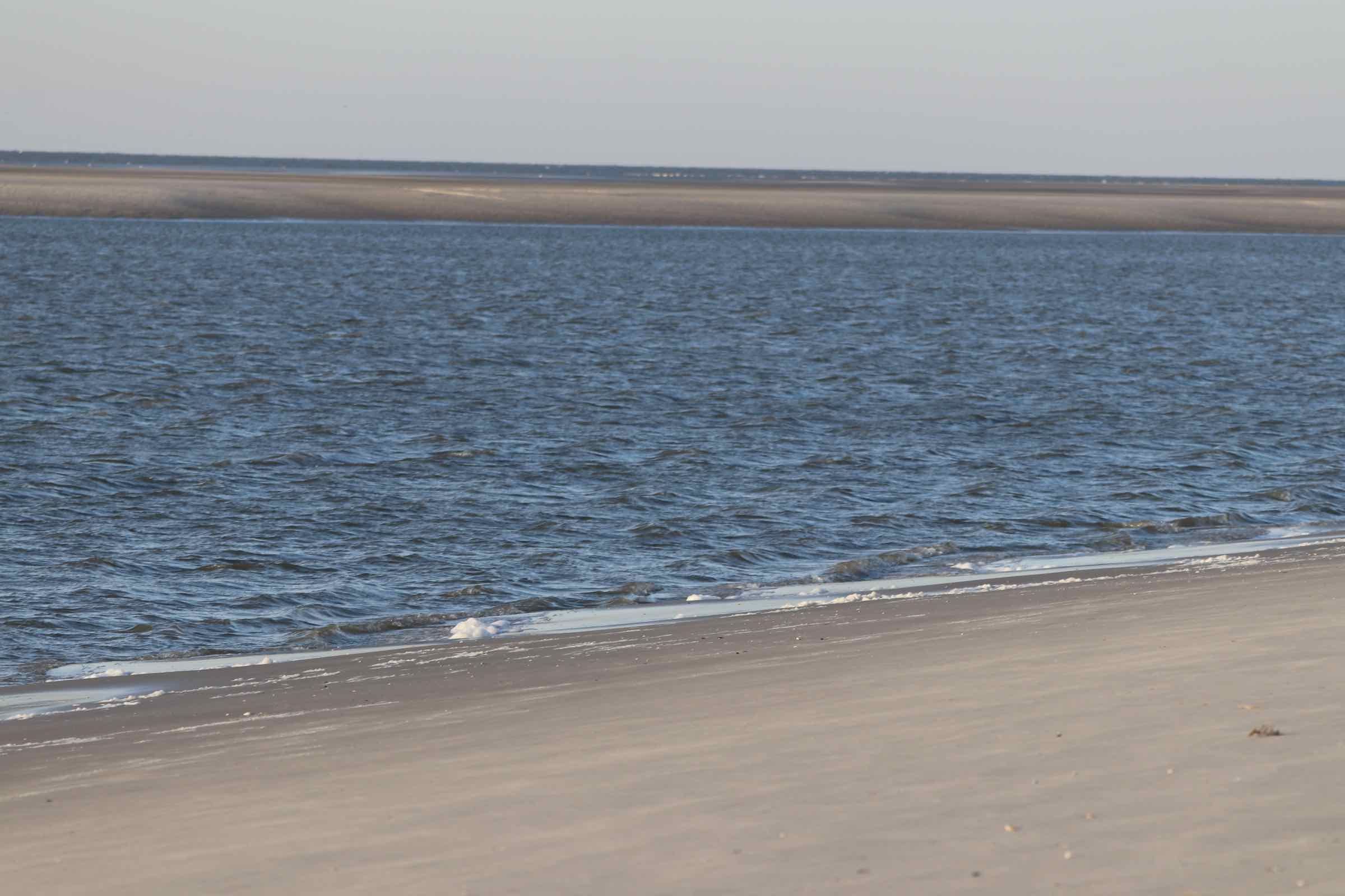 Die Wattwanderung von Hallig Hooge zum Japsand an den Rand des Wattenmeeres ist ein besonderes Erlebnis. Sand so weit das Auge reicht und ein Spülsaum voller Muscheln und Schnecken erwarten uns dort.