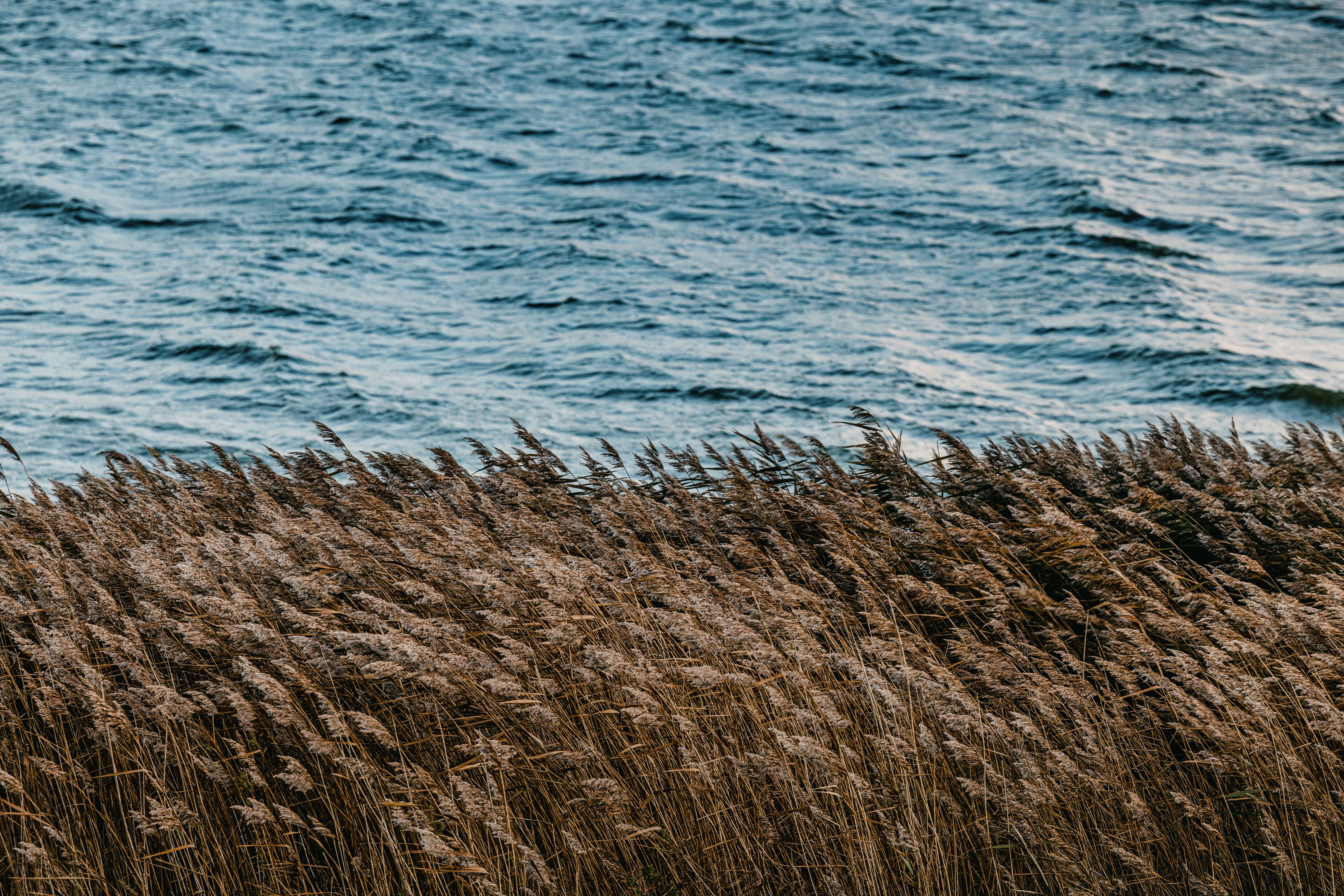 Natur in Nordfriesland