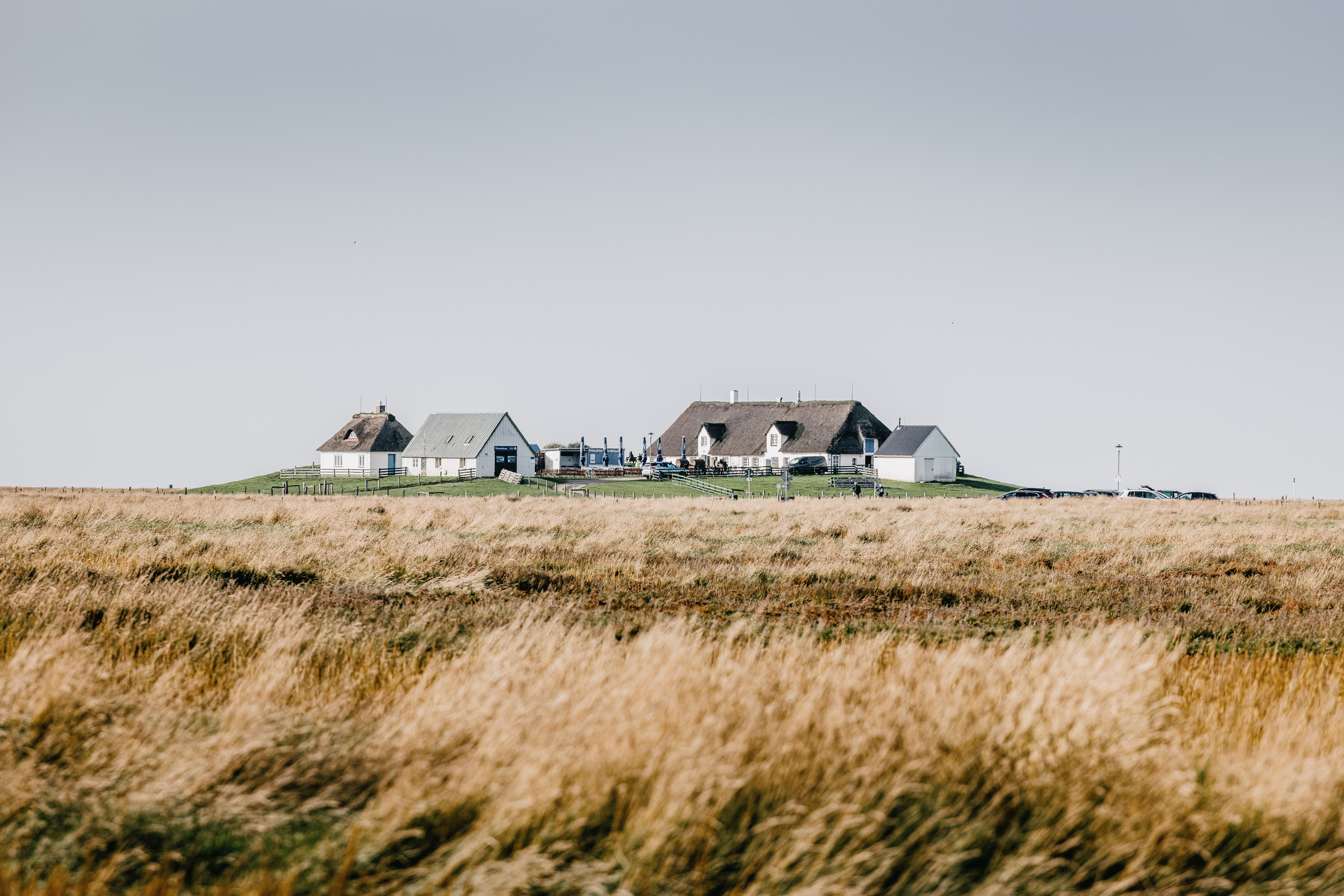 Warft auf der Hamburger Hallig mit dem Hallig Krog zum Einkehren