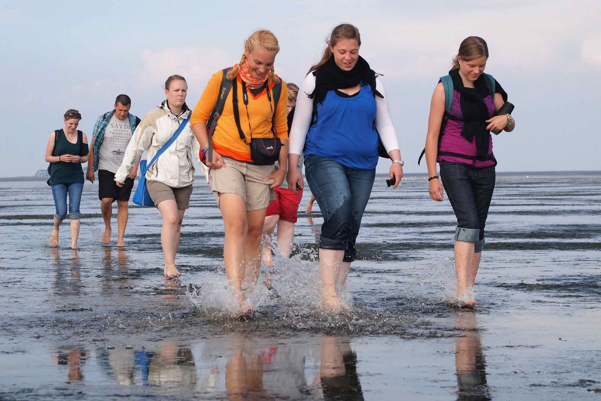 Bei dieser 4 km langen Wattwanderung wandern wir von Langeneß nach Oland. Auf Oland geben wir eine kurze Führung und besuchen die Kirche. Nach einem Kaffee geht es über das Watt wieder zurück.