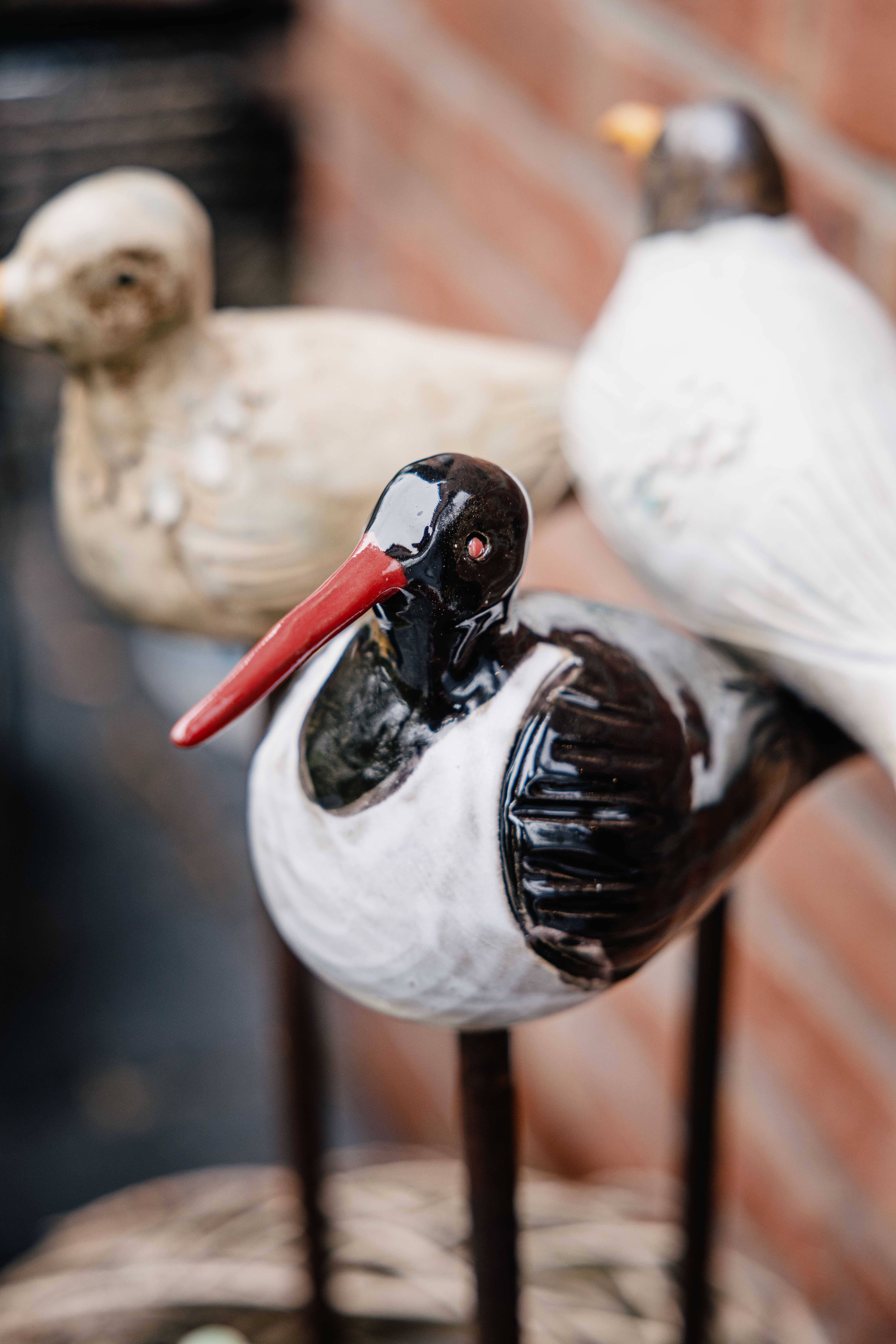 Austernfischer getöpfert