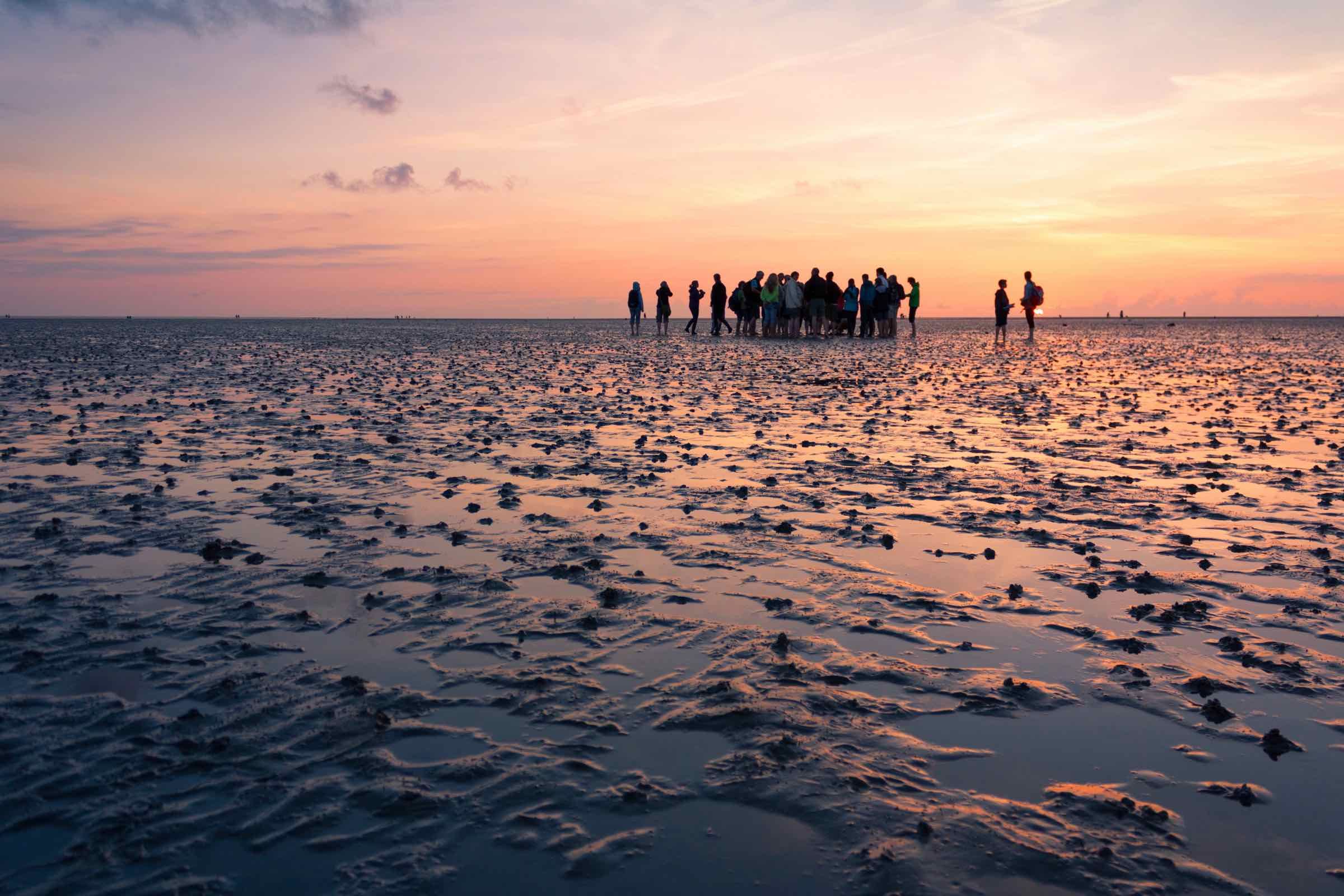 Süderoog liegt mitten im Nationalpark Schleswig-Holsteinisches Wattenmeer. Wir starten auf Pellworm und laufen 6 km bis zum Herz der Nordsee. Nach kurzem Aufenthalt und Führung auf der Hallig geht es übers Watt zurück.