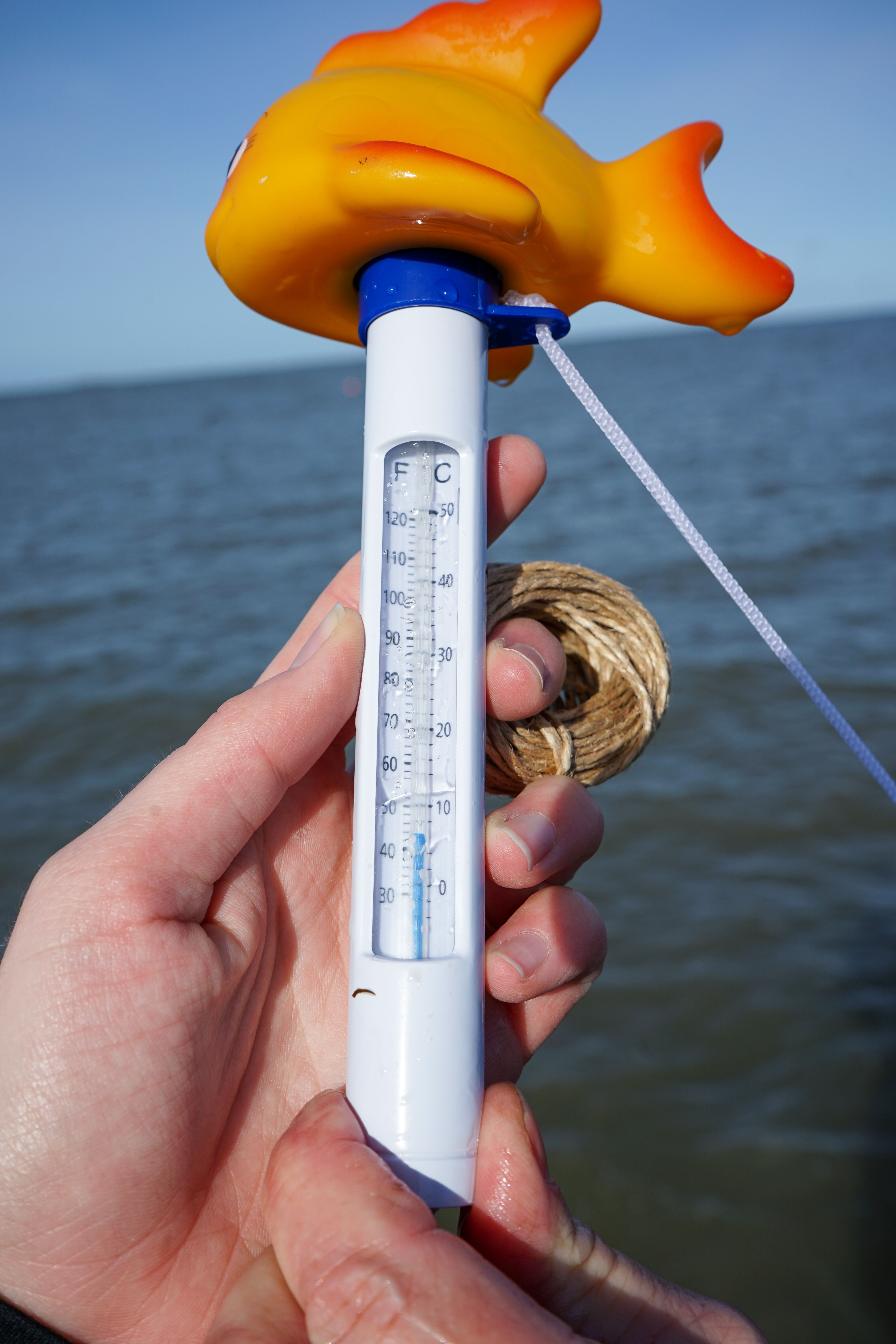Ein Thermometer mit einem gelben Fischgriff wird über Wasser gehalten. Die Skala zeigt Temperaturen in Celsius und Fahrenheit an.